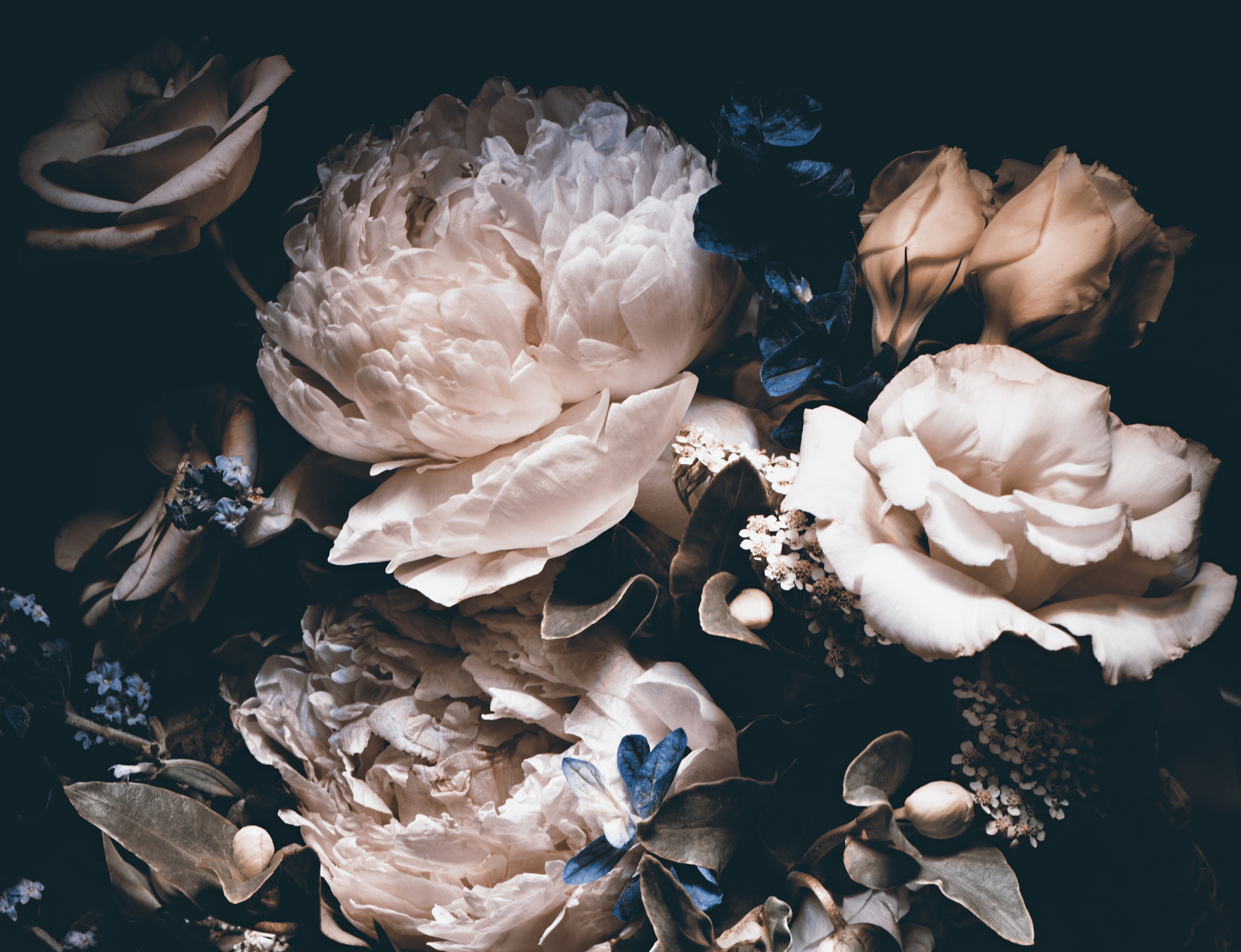 Poster - Bloemen
