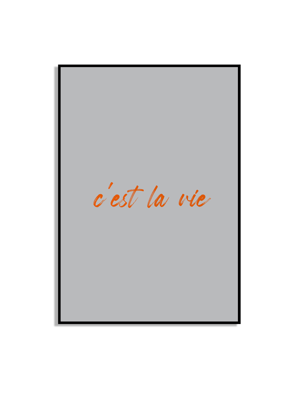 AFFICHE - c'est la vie