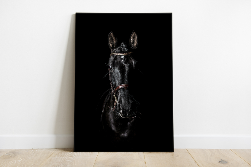 Poster - Donker zwart paard