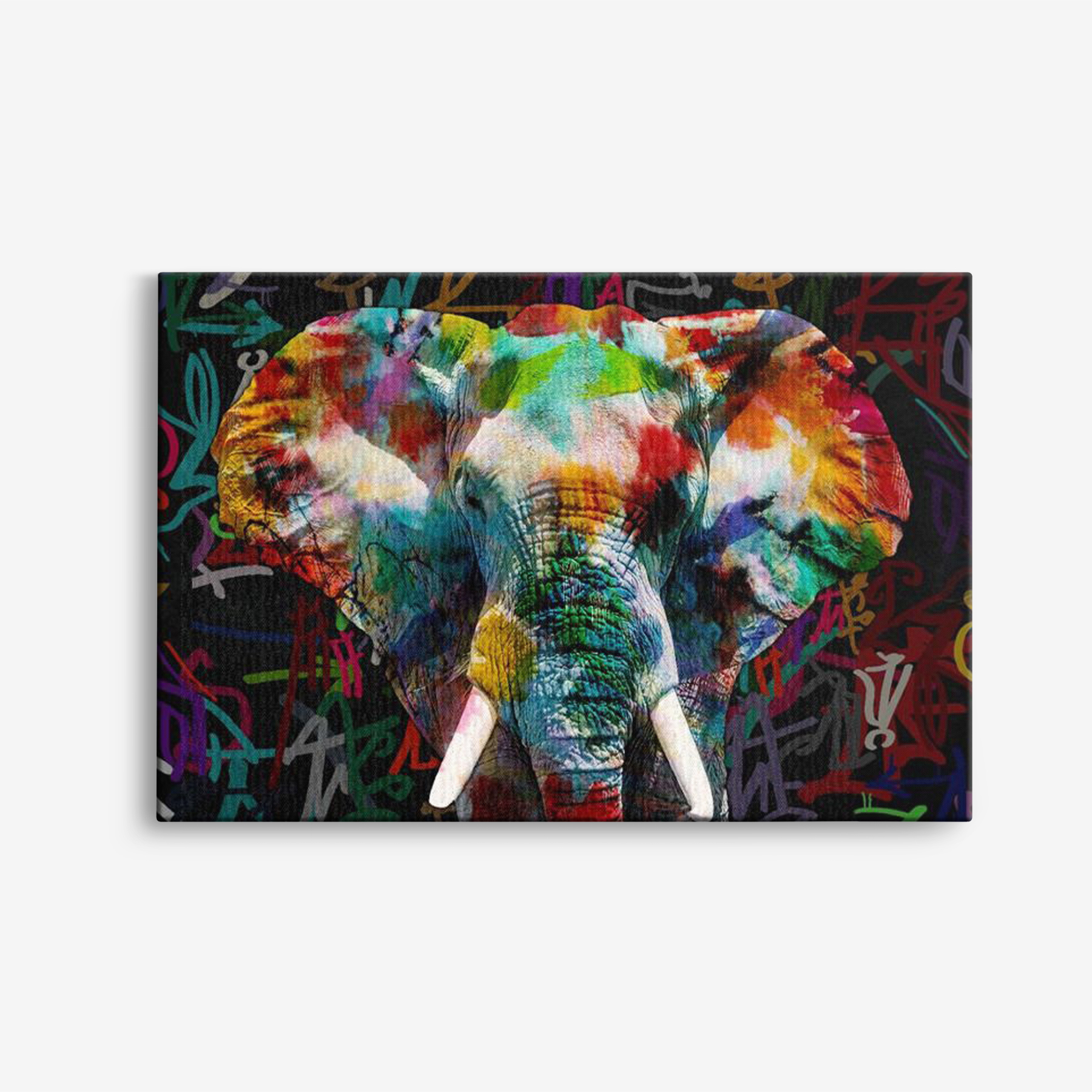 Canvas - Olifant