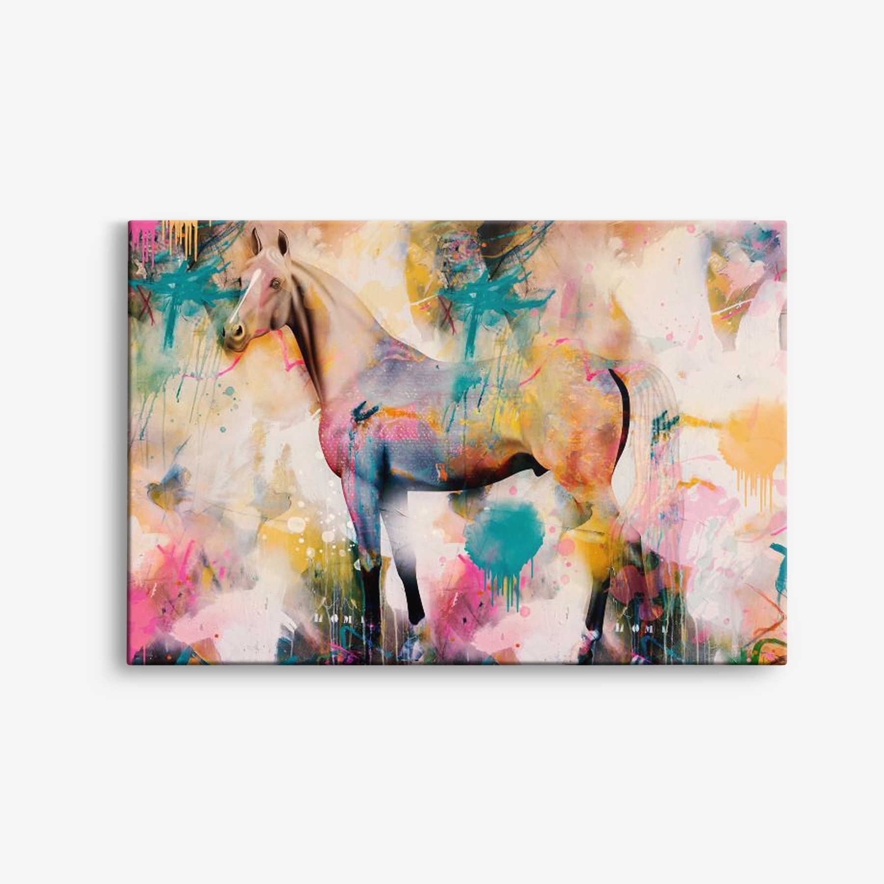 Canvas - Paard