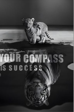 Poster - YOUR COMPASS IS SUCCESS
