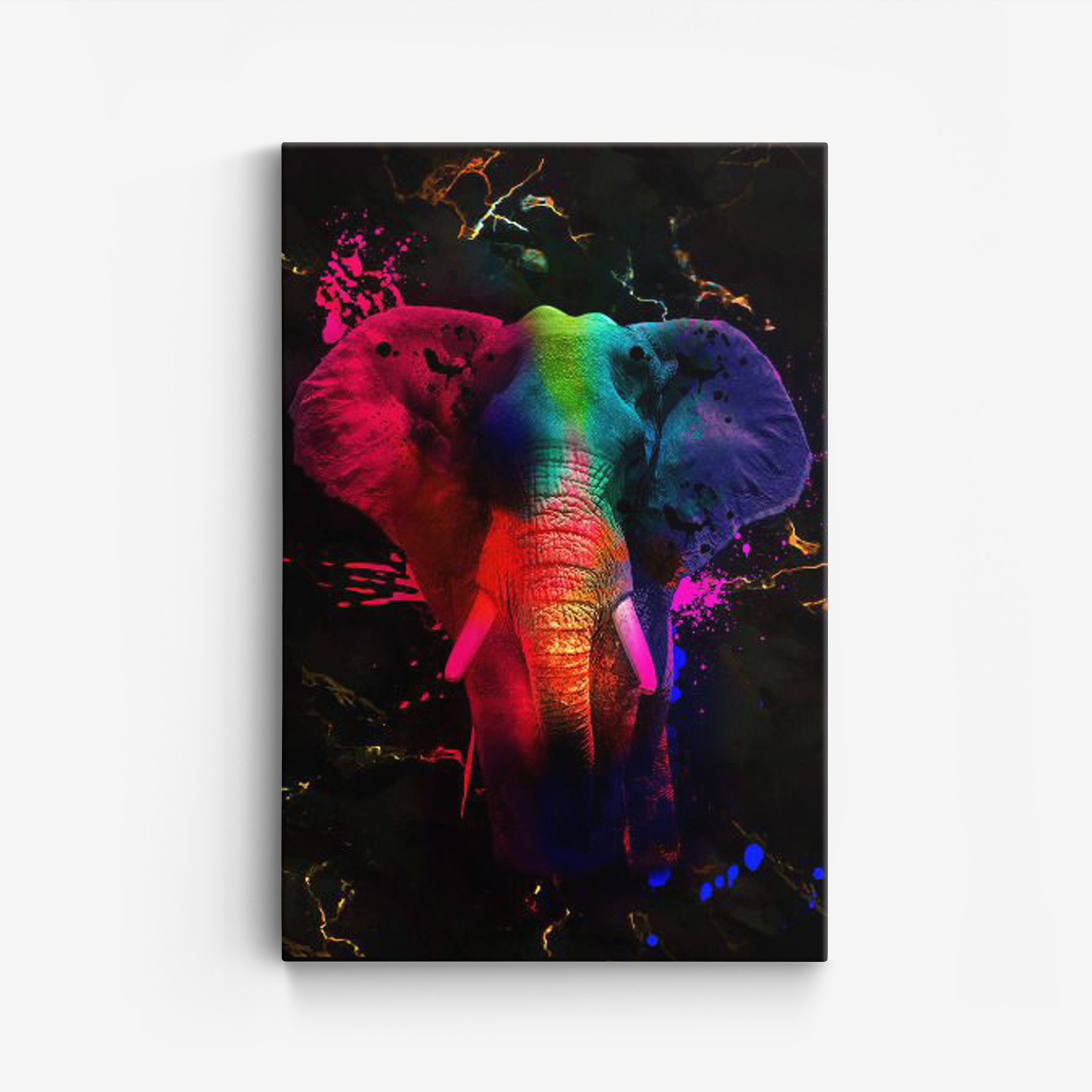 Canvas - Kleurrijke olifant