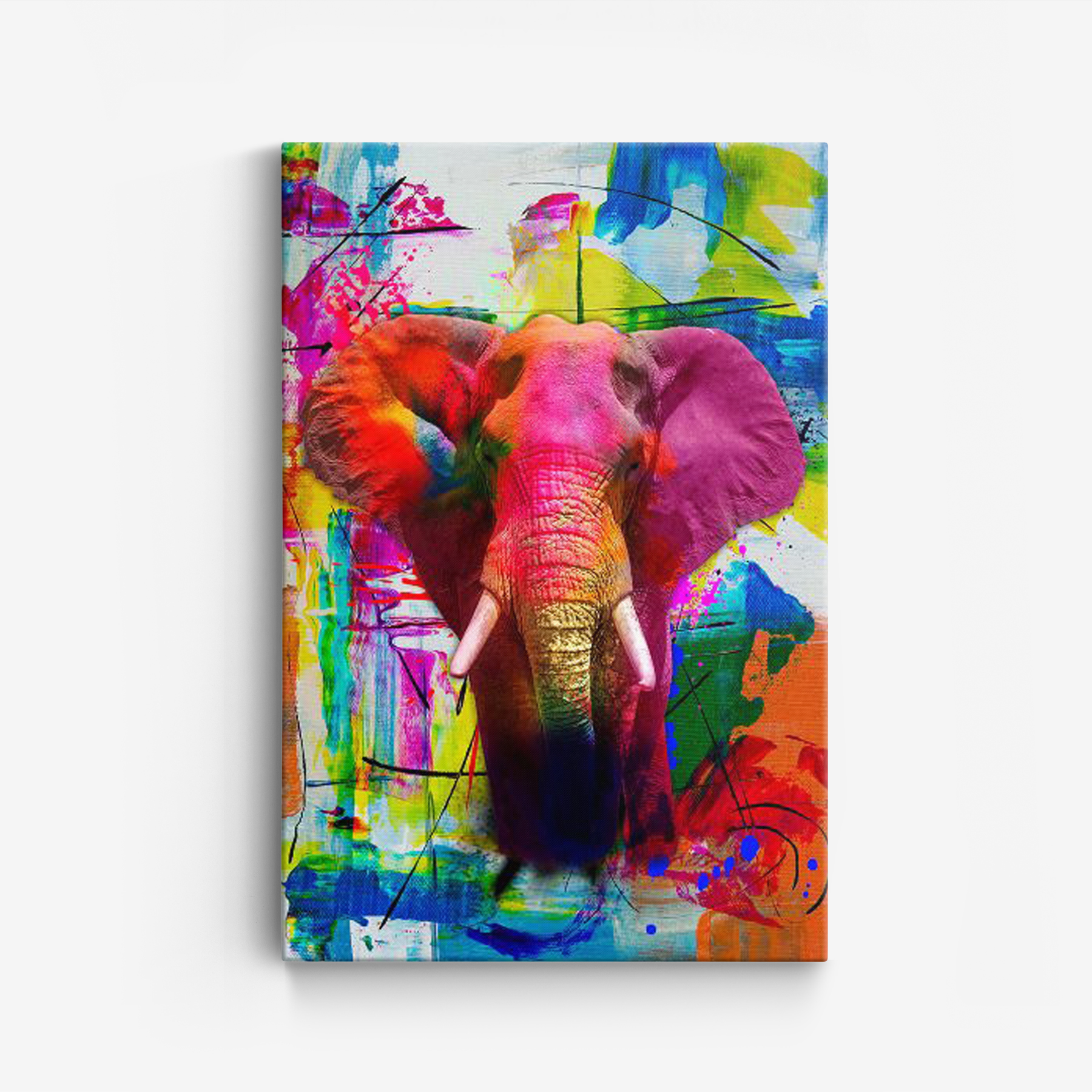 Canvas -Gekleurde olifant / 02