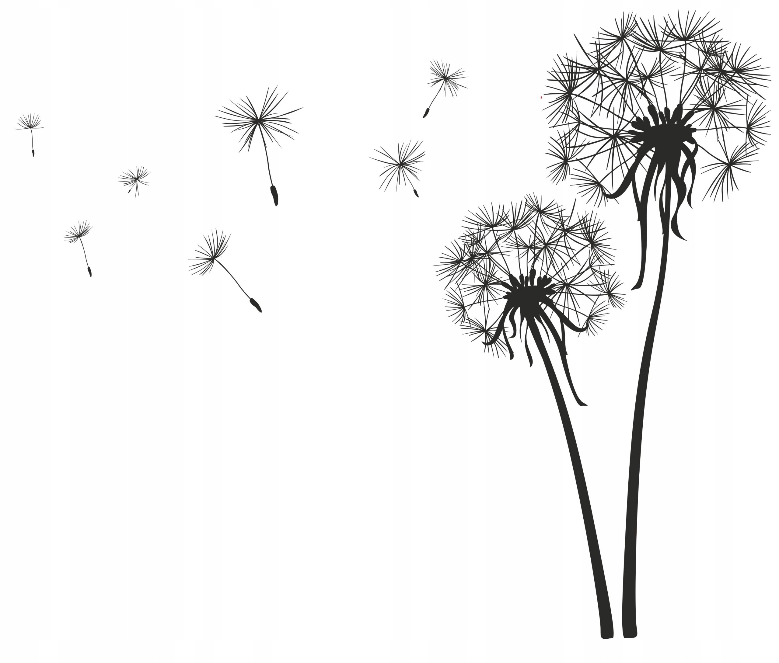 Muursticker - Paardebloemen