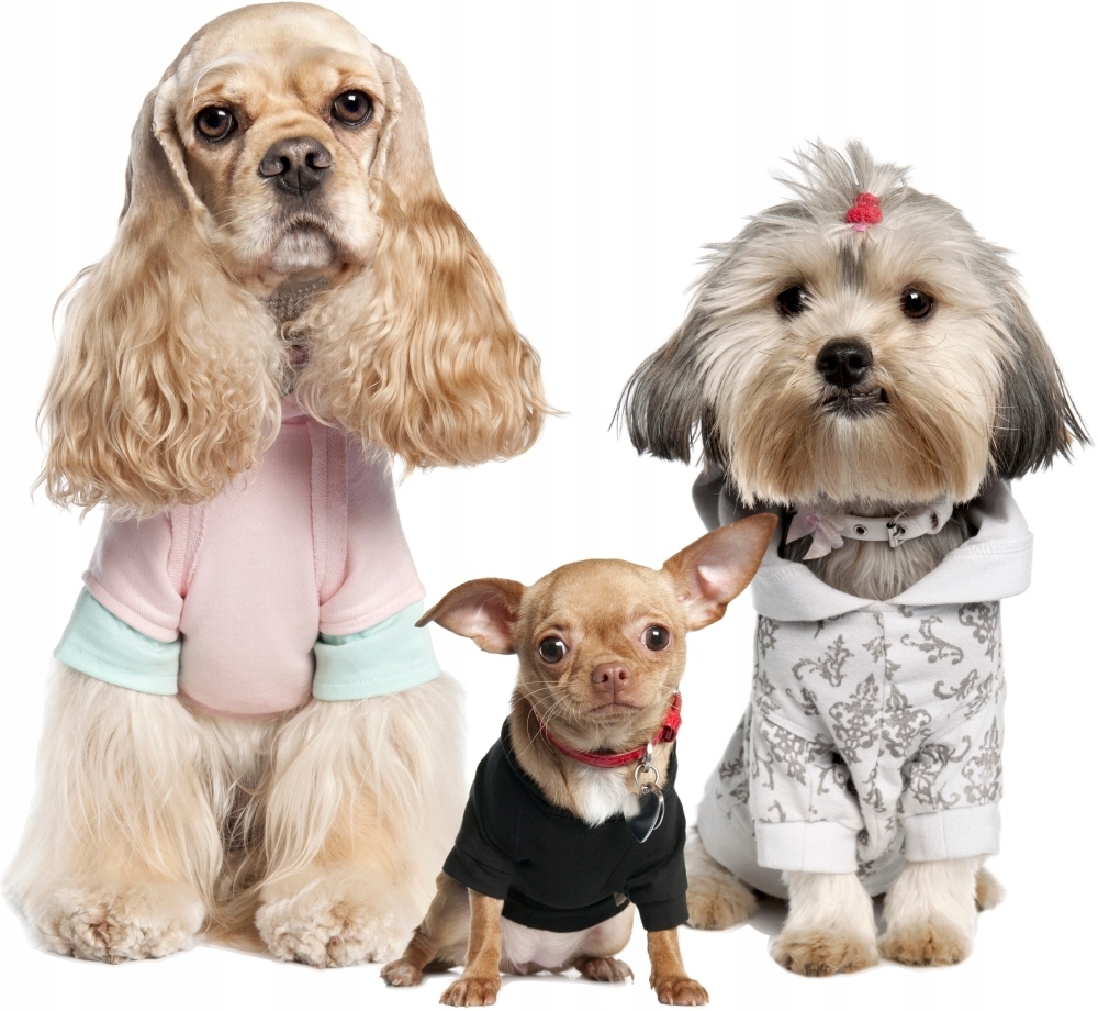 Muursticker - Honden / 06