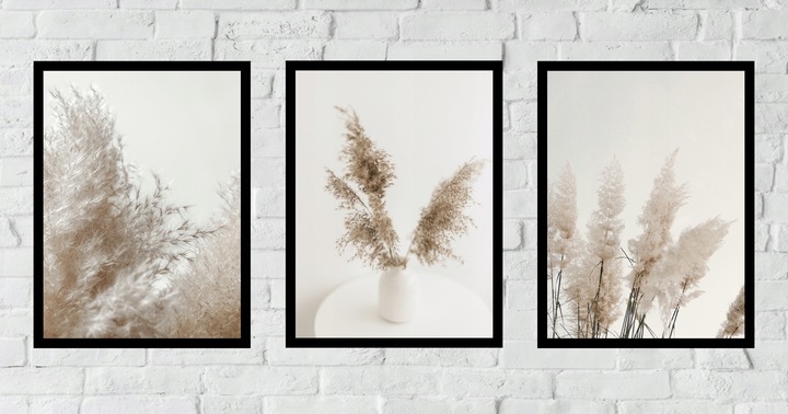 Posters - Droge pampa's / Set van 3