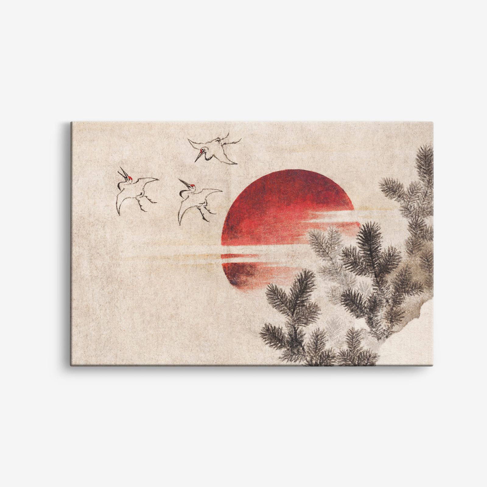 Kraanvogel en Zon Canvas