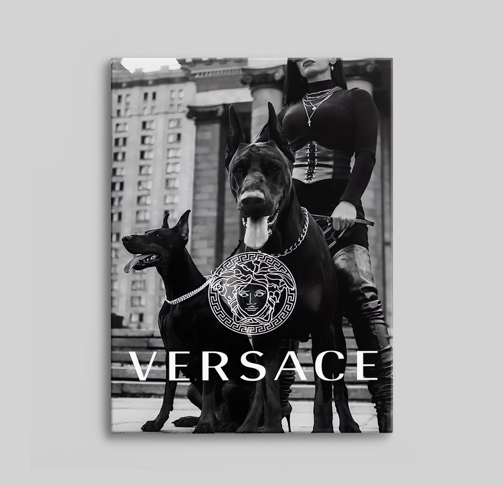 Versace Canvas met Dobermans