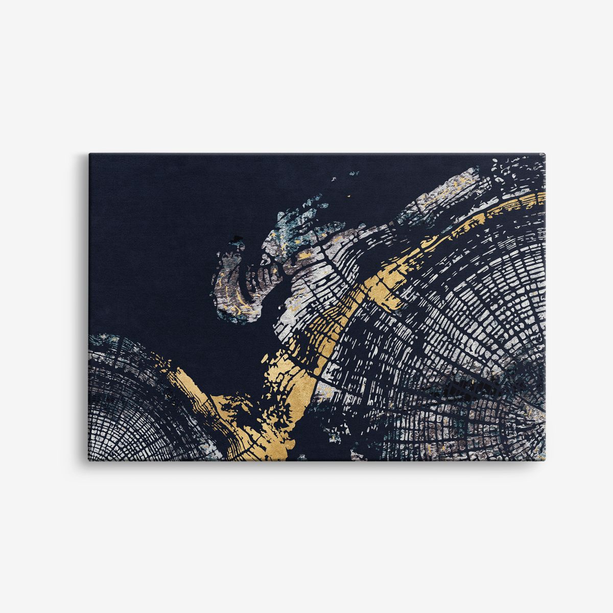 Abstracte Ringen Canvas Kunst