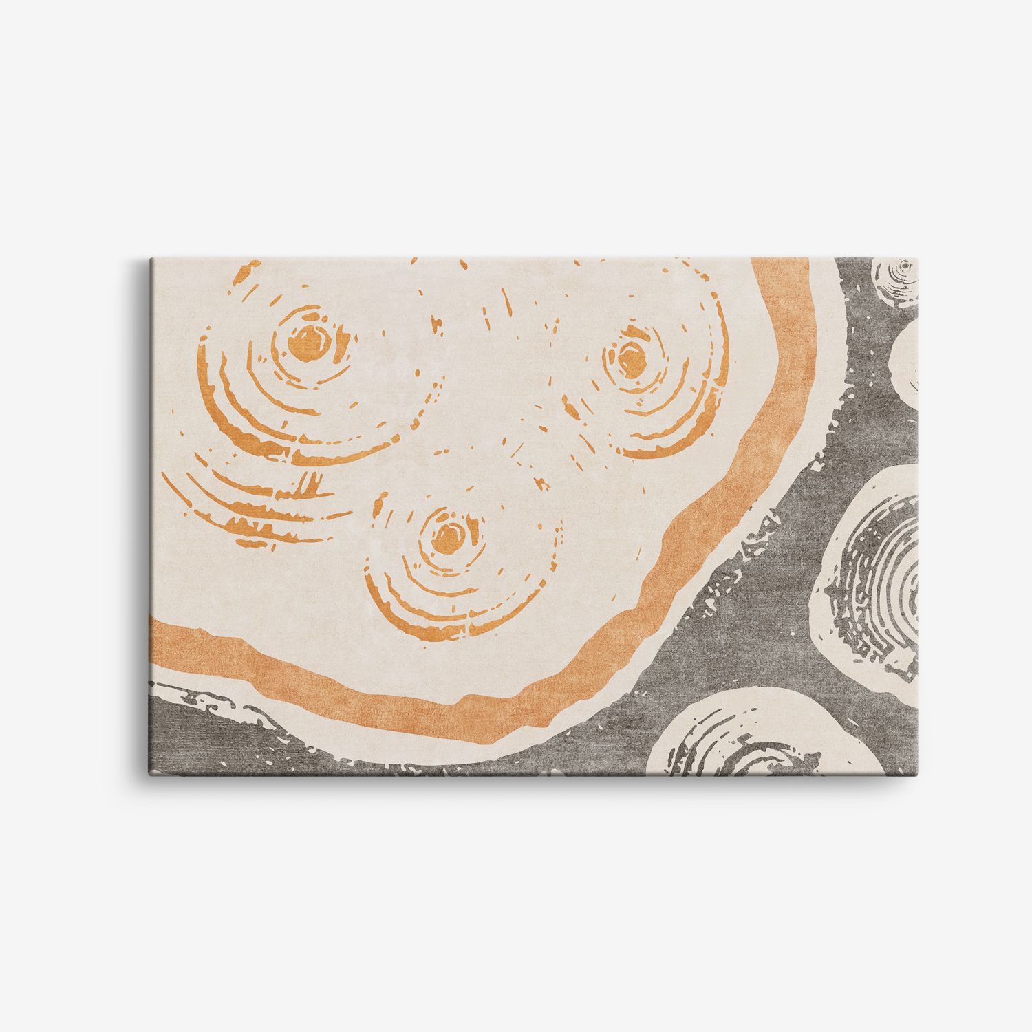 Abstracte Cirkels Canvas