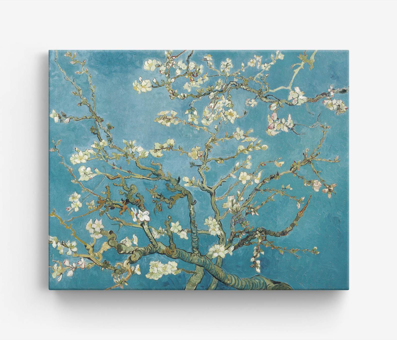 Amandelbloesem Canvas van Van Gogh