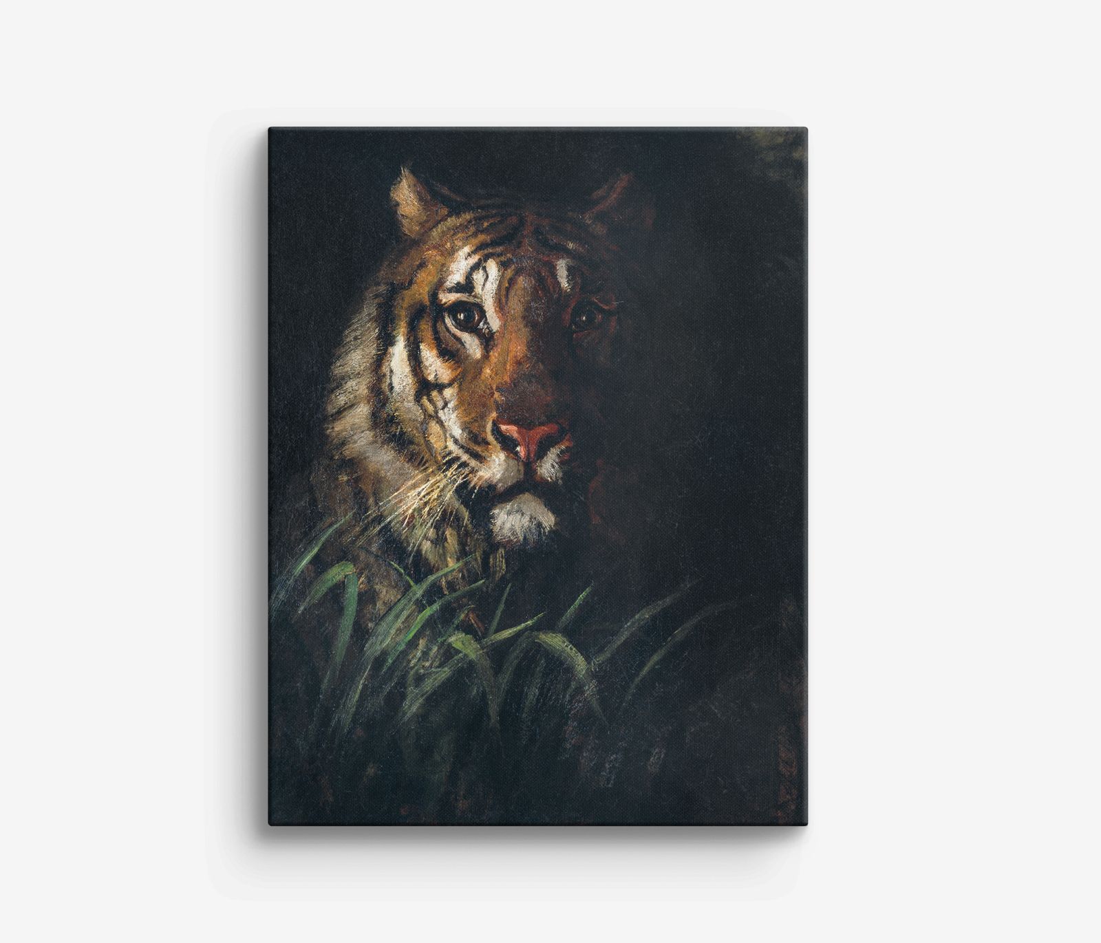 Tijgerportret Canvas