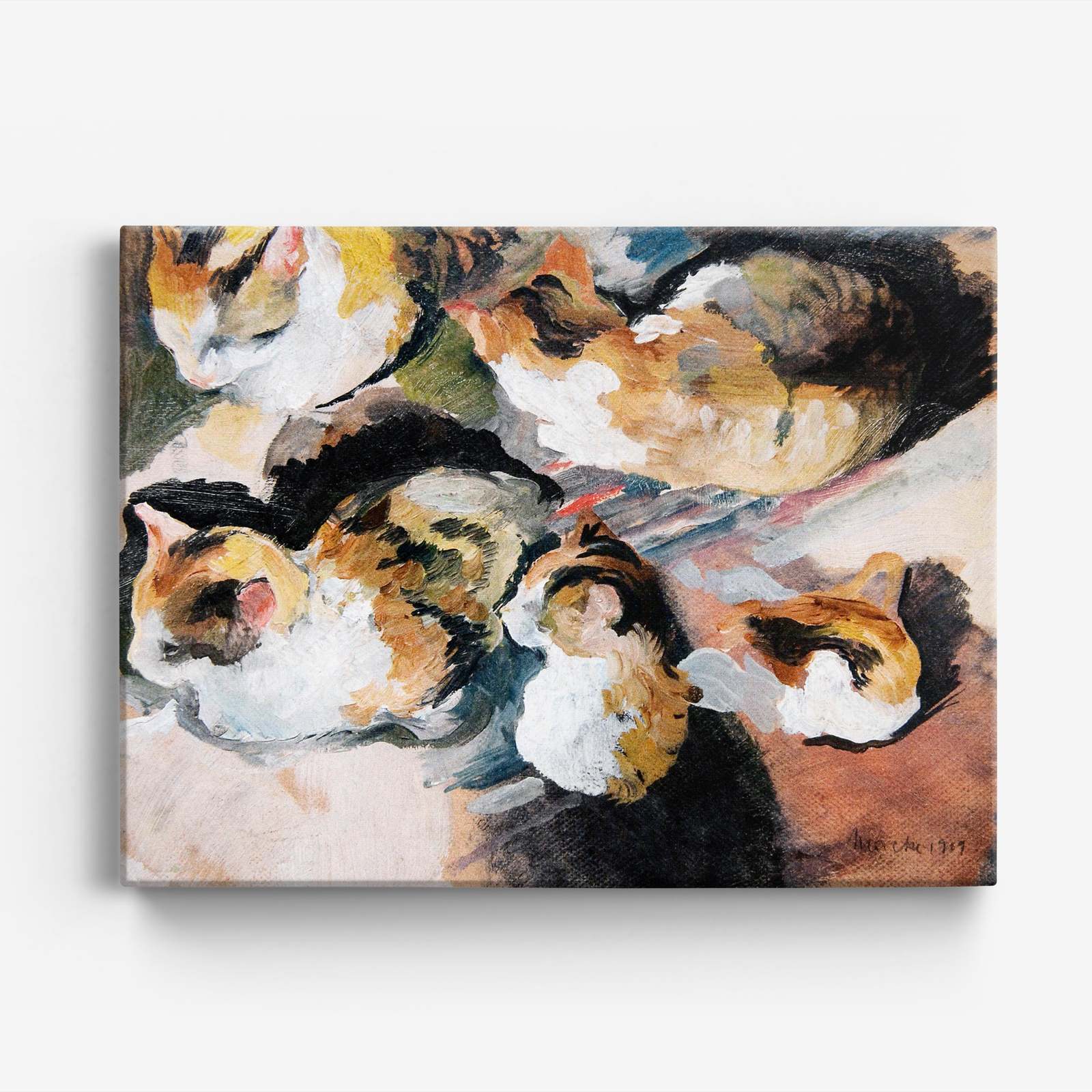 Kattenkunst Canvas