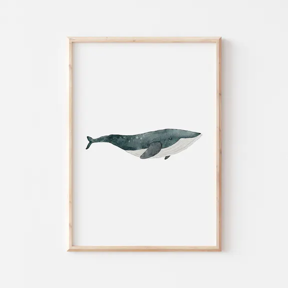 Poster - Zeedier / Bultrug walvis