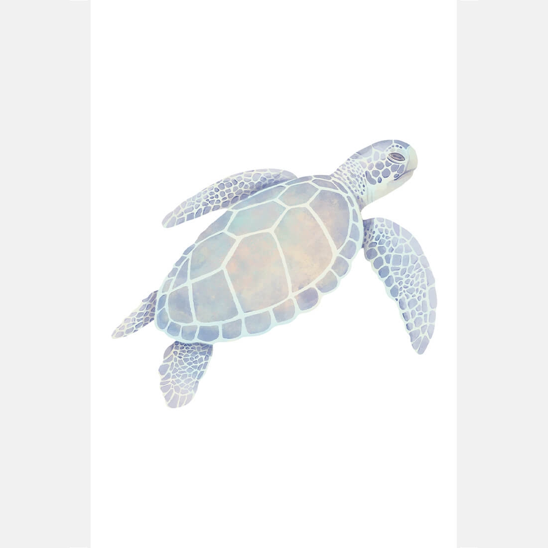Poster - Schildpad