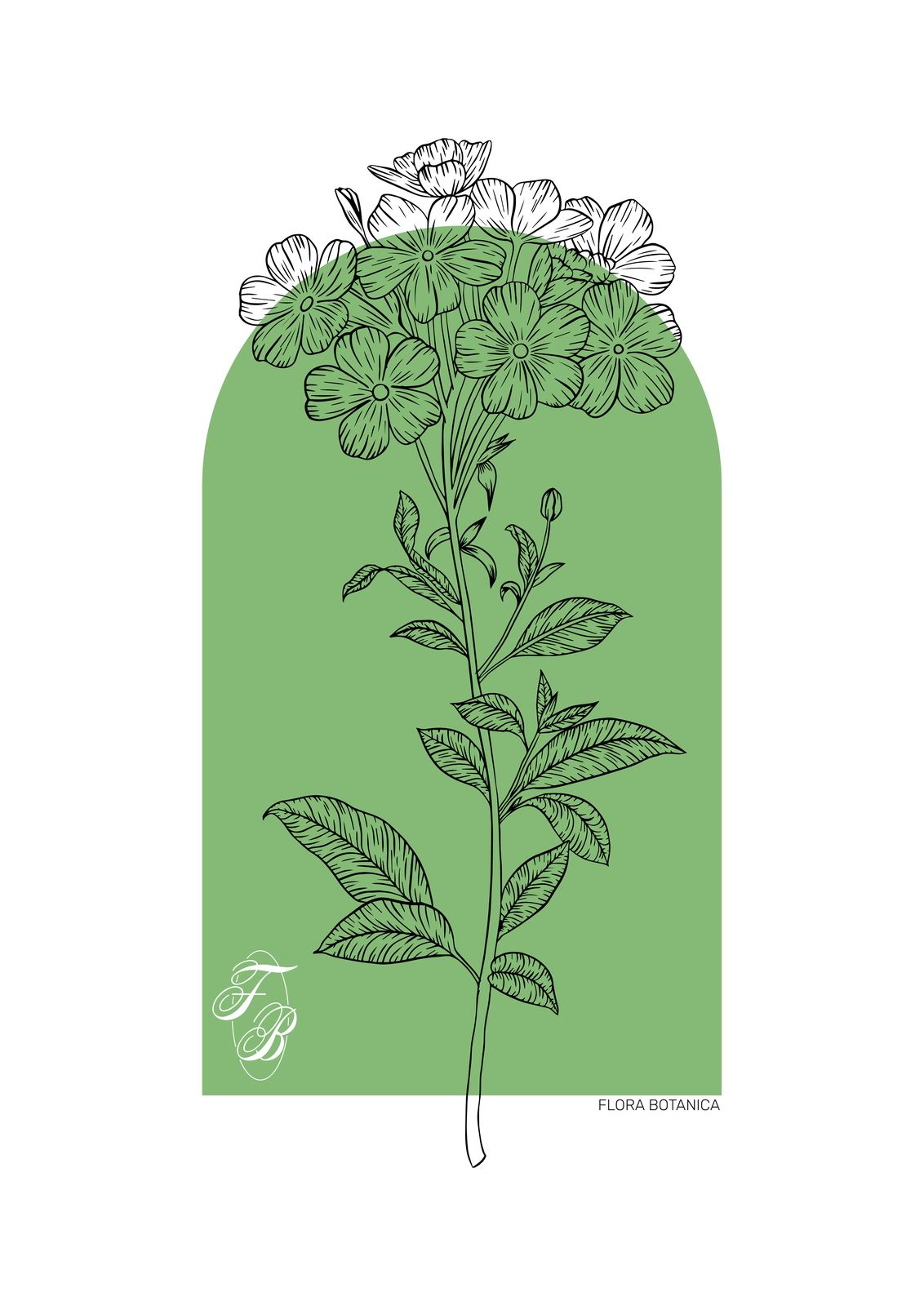 Poster - Flora Botanica