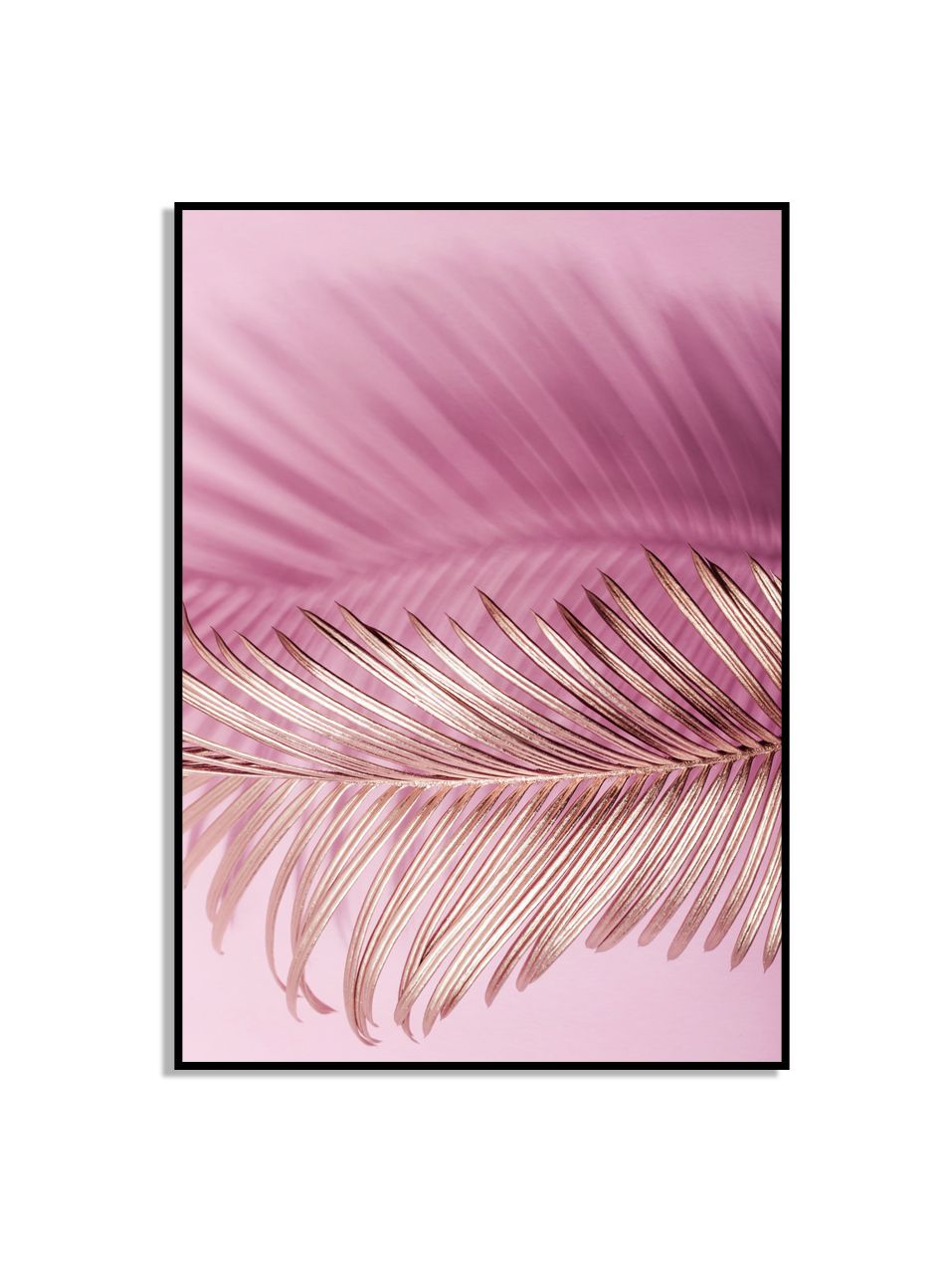 Roze Palmblad Poster