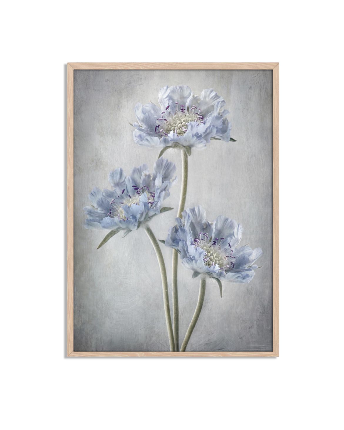 Blauwe Bloemen Poster