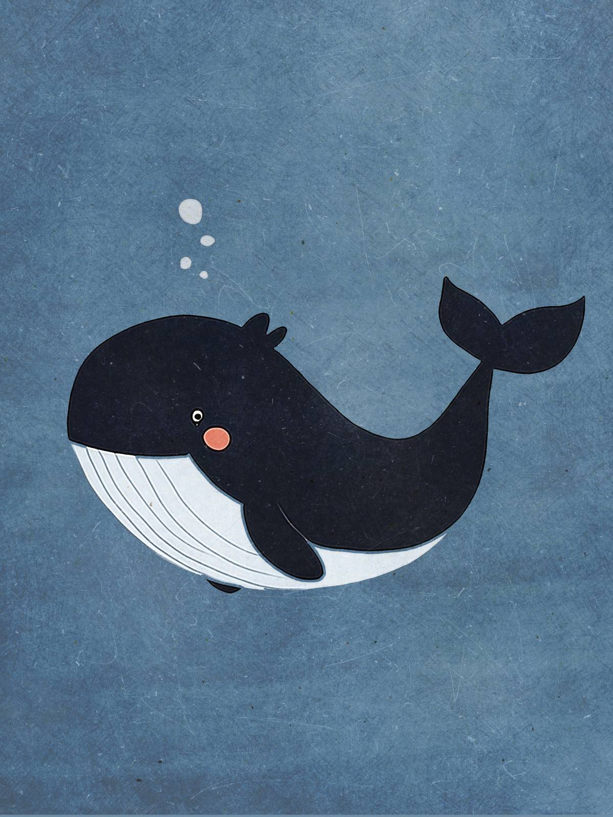 Poster - Walvis Illustratie