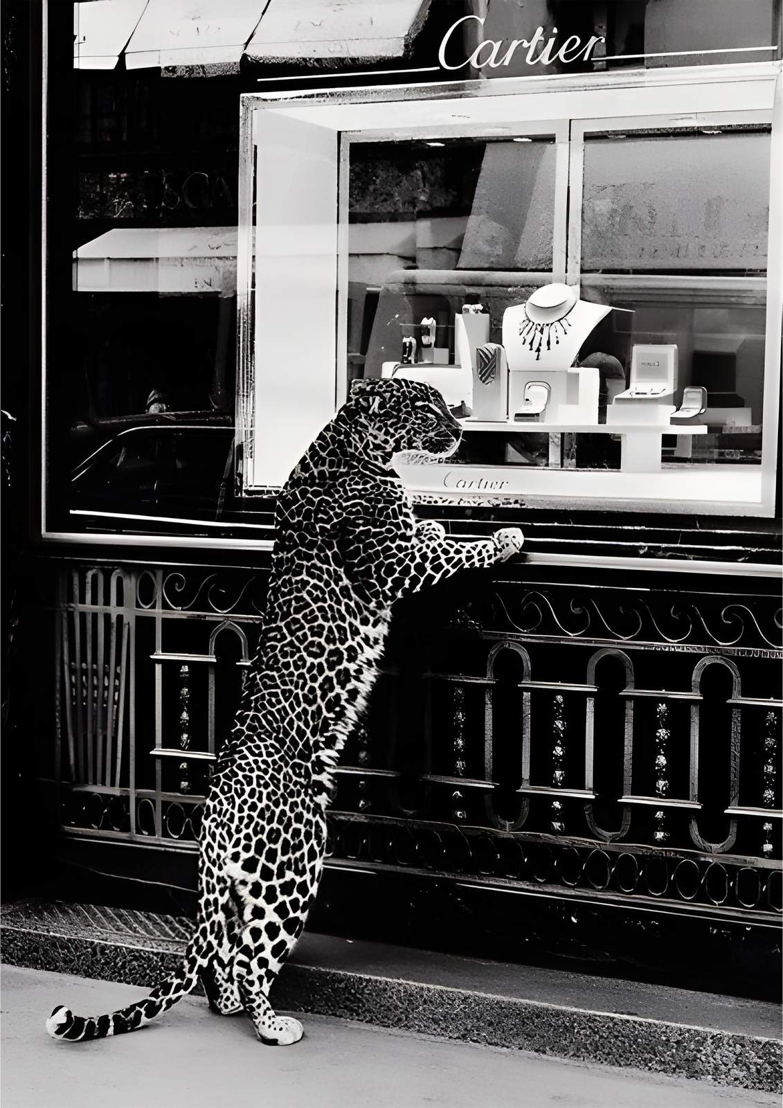 Leopard Cartier Poster