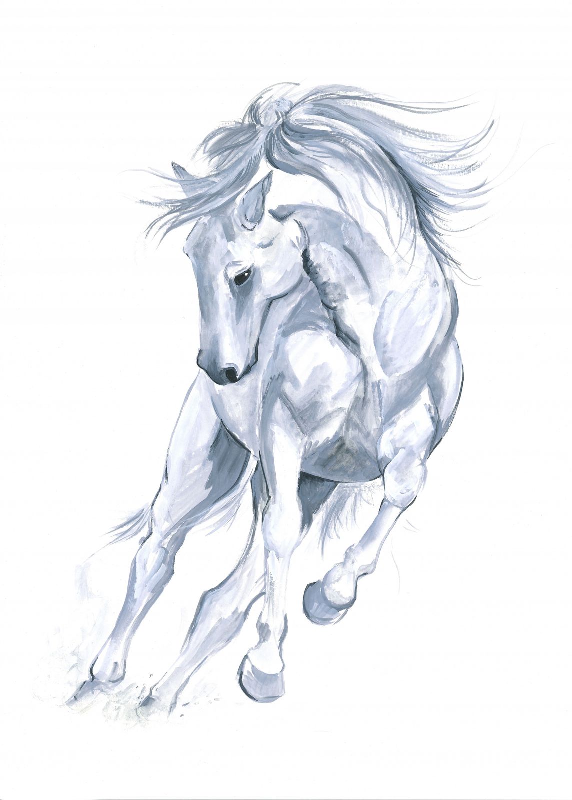 Poster - Witte paardillustratie