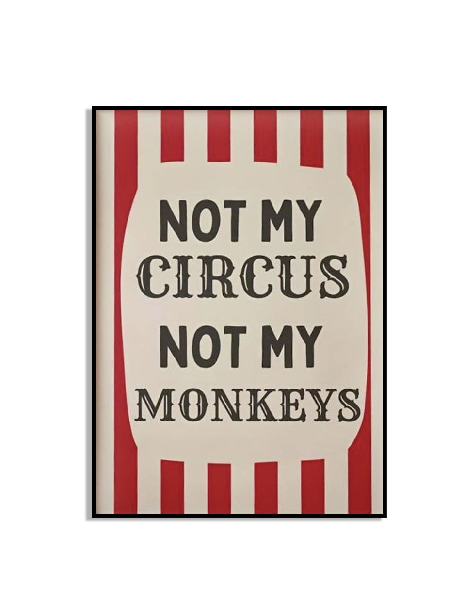 Not My Circus Not My Monkeys Poster