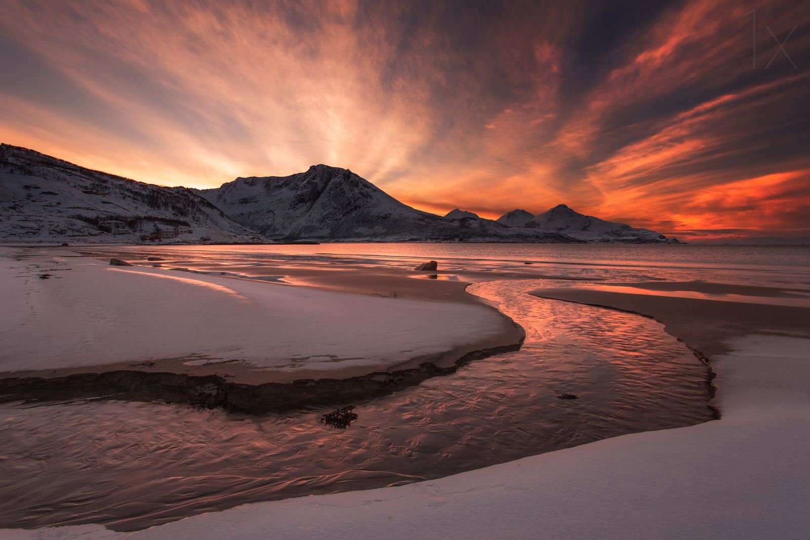 Poster - Winter Zonsondergang Landschap