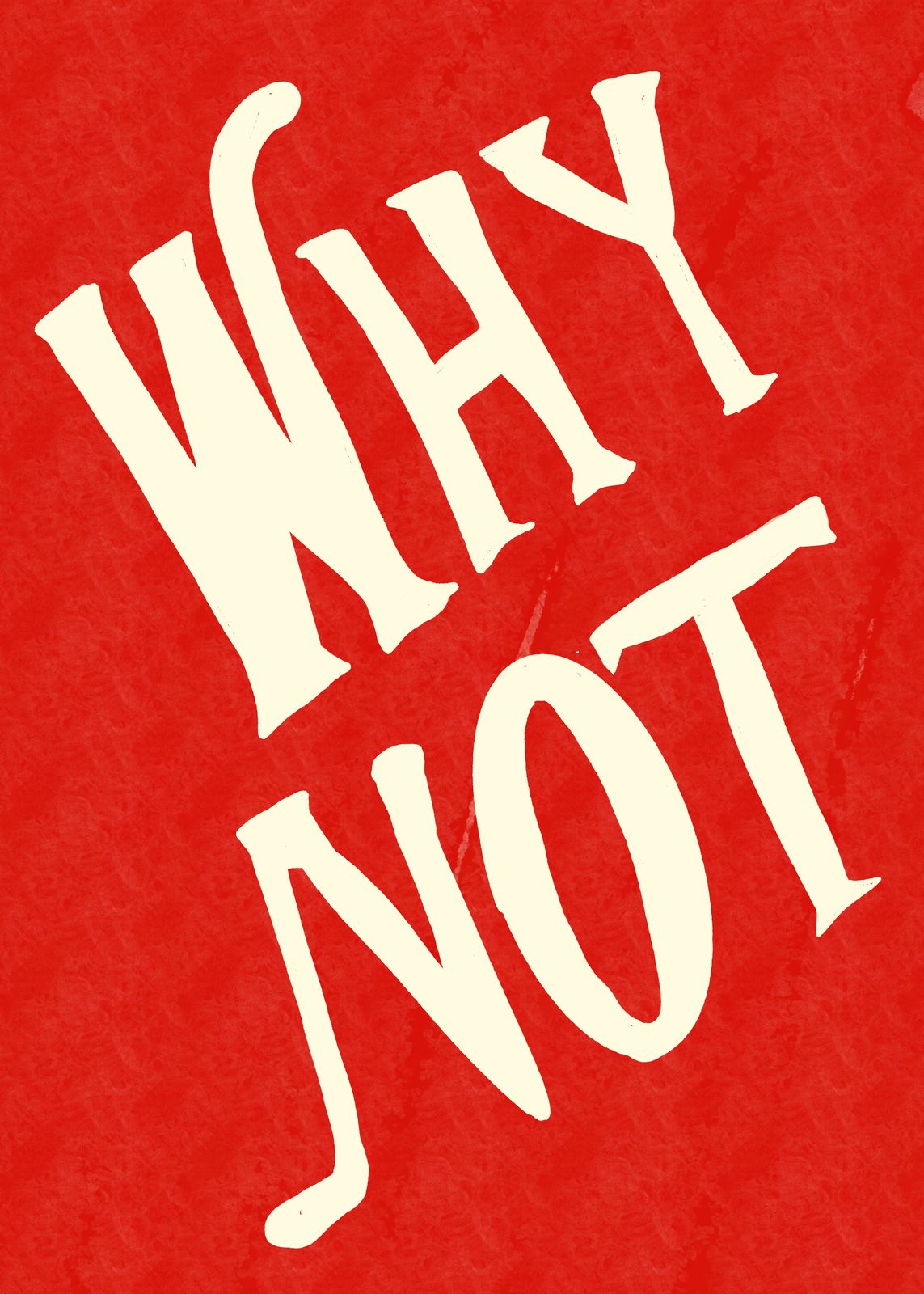Poster - Waarom niet