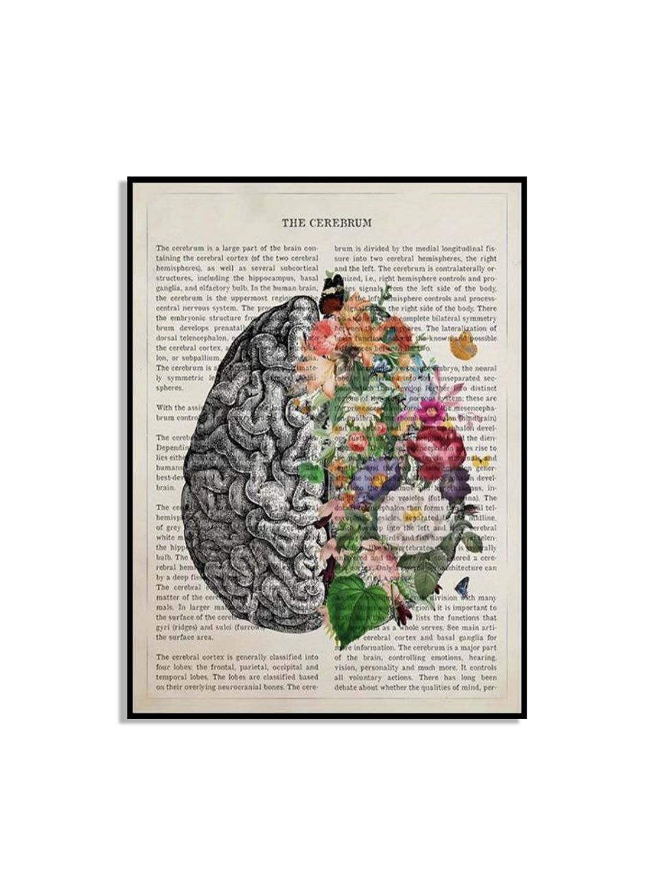 Bloem Brein Kunst Wandposter