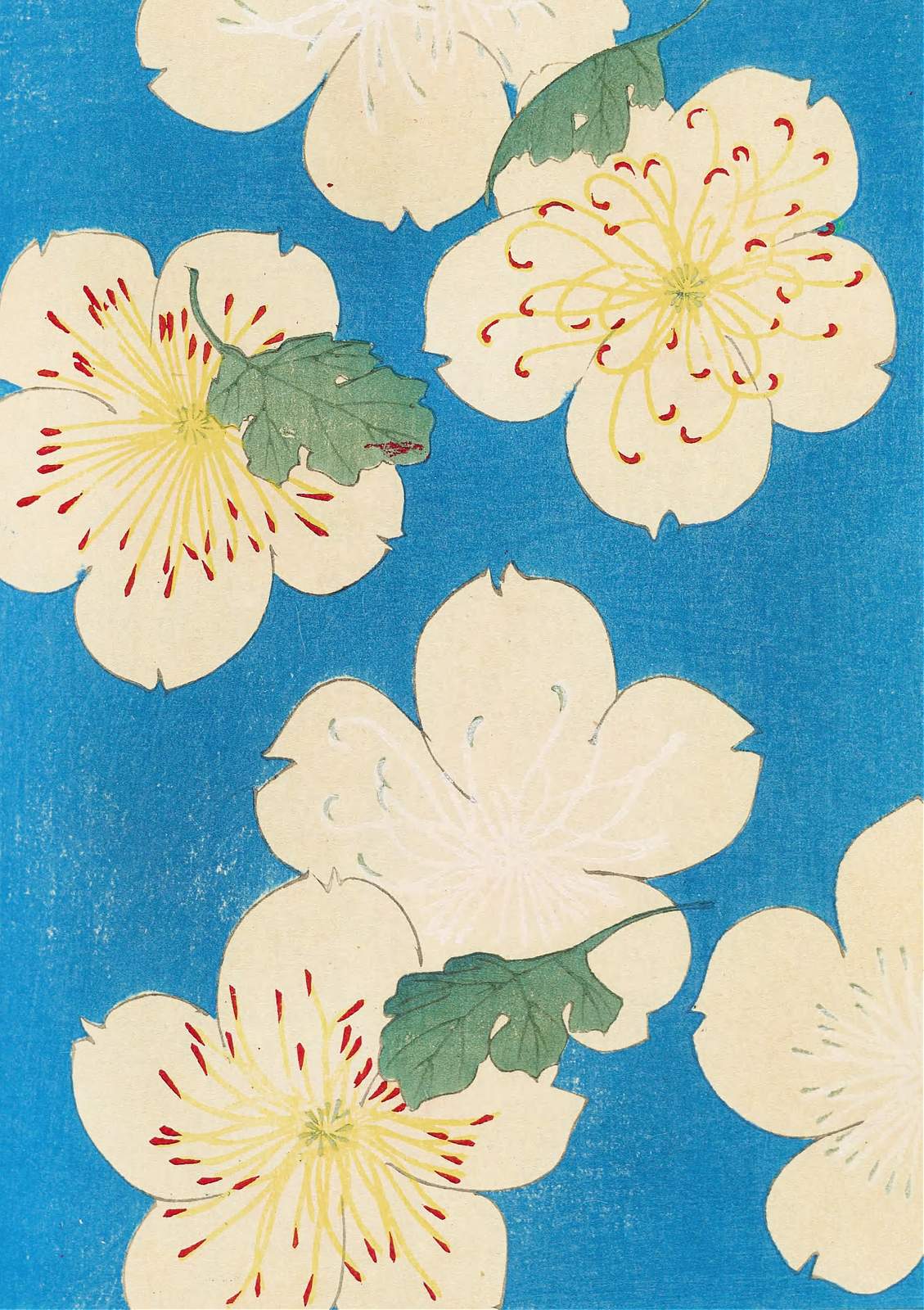 Poster - Bloemenprint