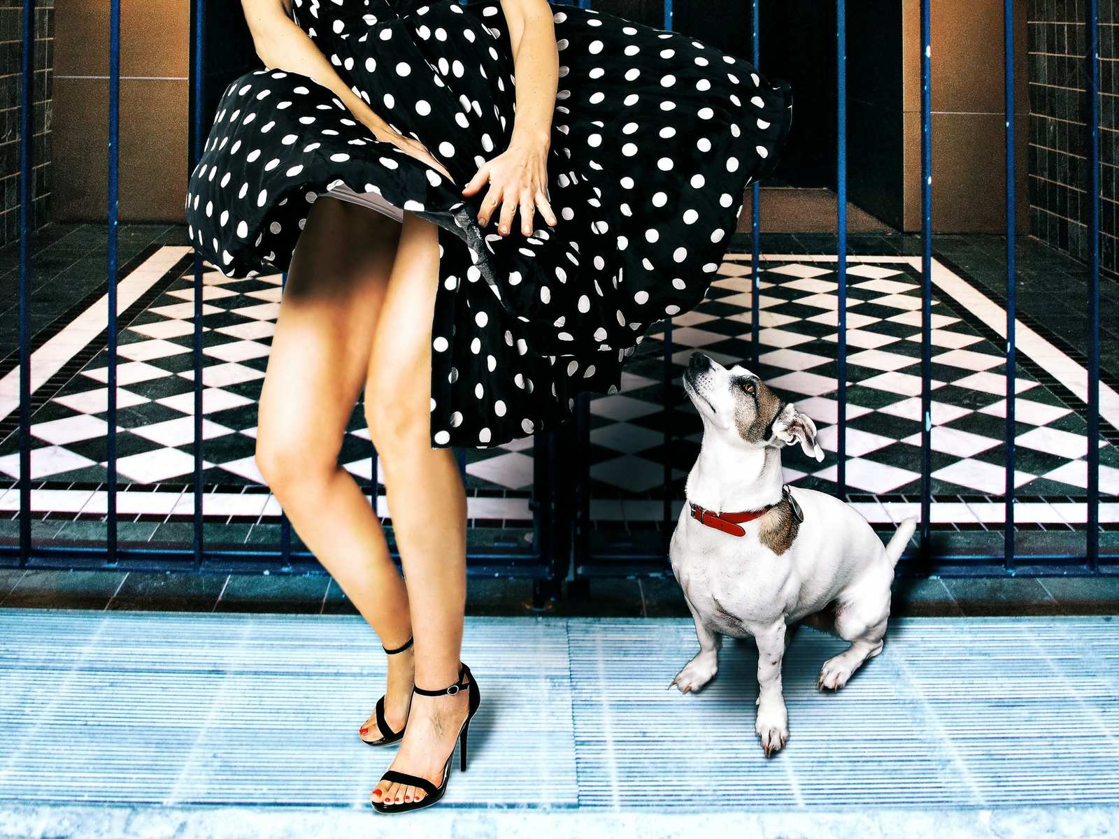 Poster - Polka Dot Jurk