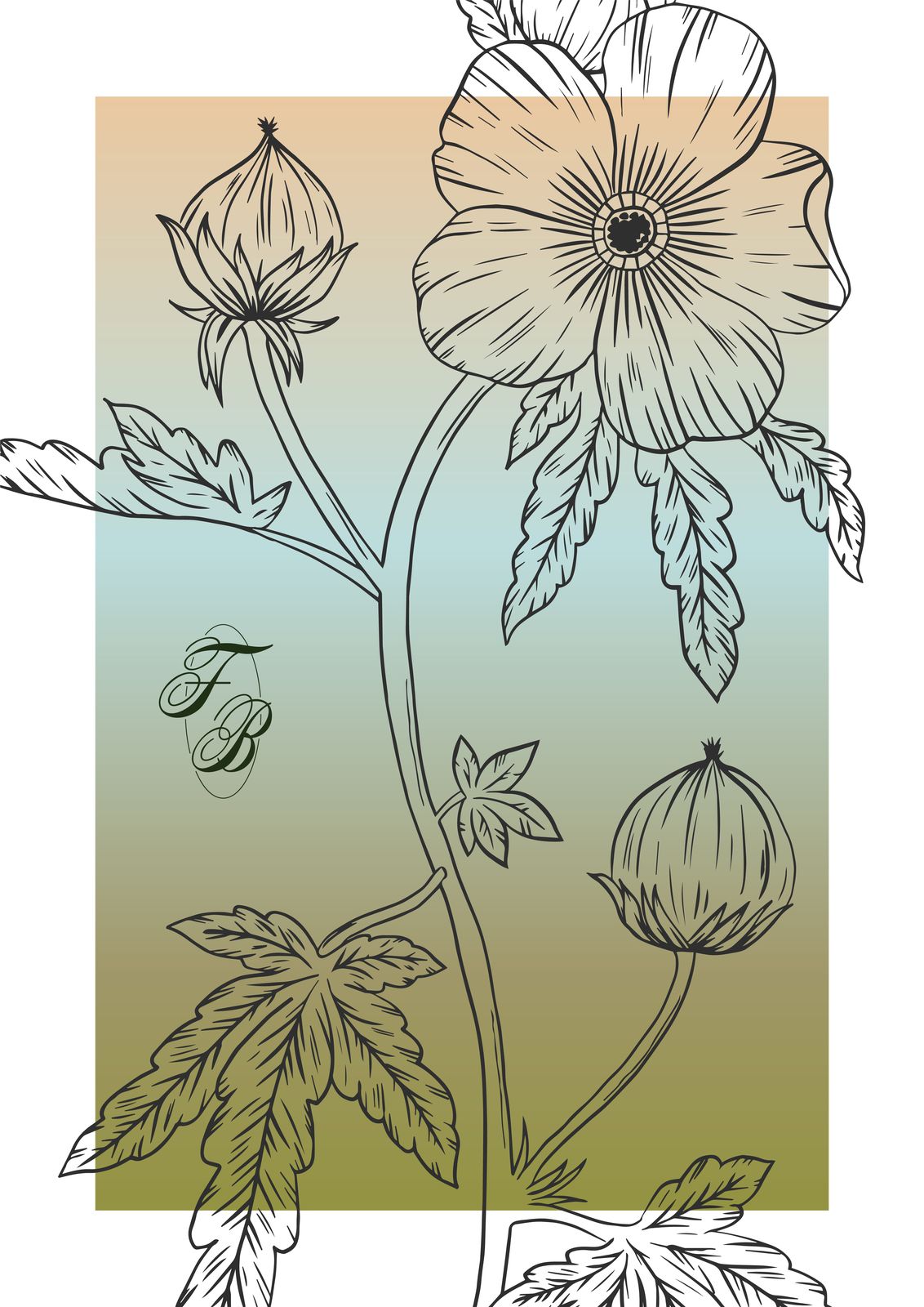 Poster - Flora Botanica Collectie / Set van 3