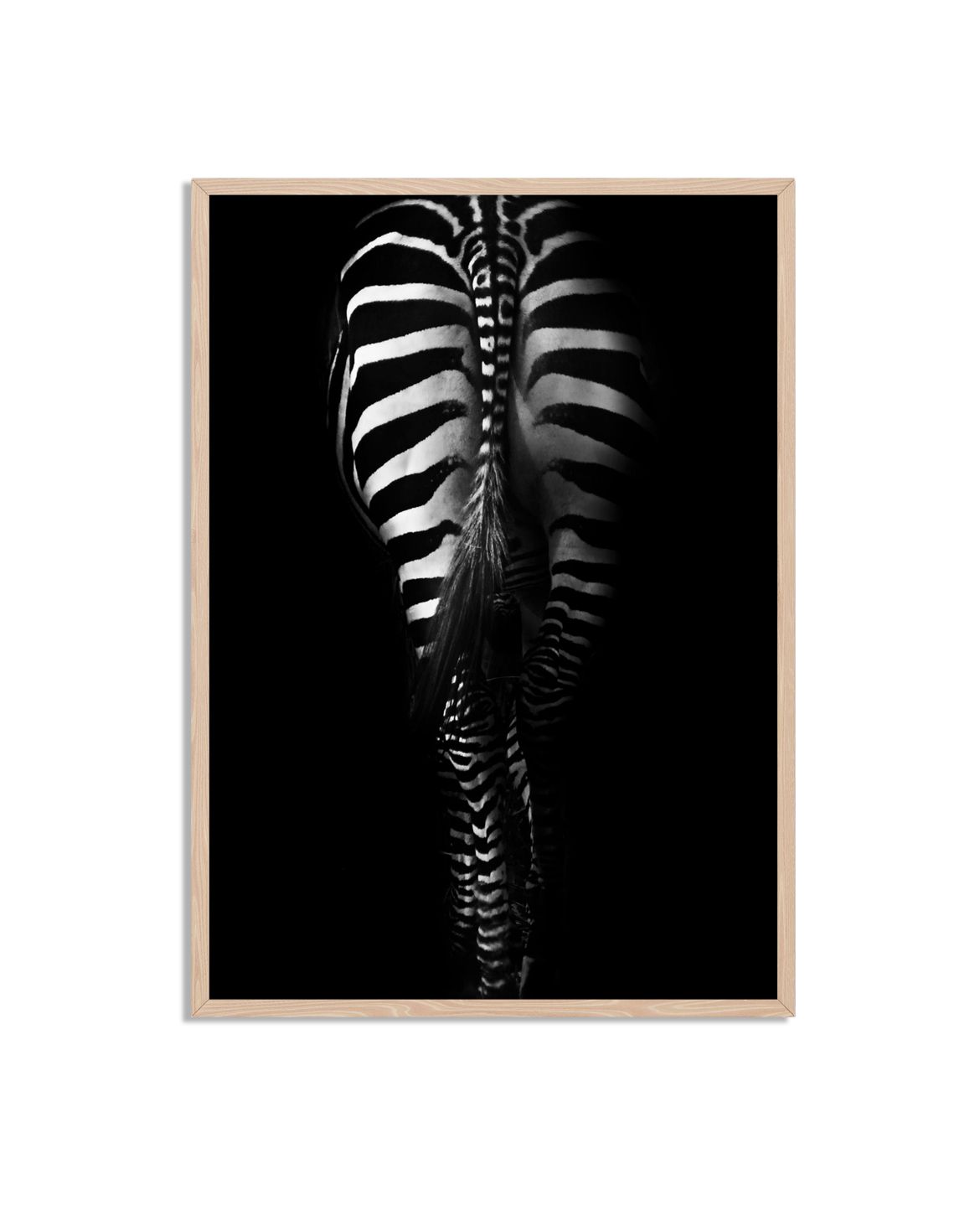 Zebra Strepen Poster