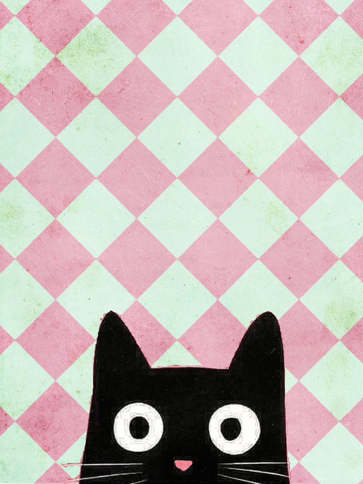 Poster - Katontwerp