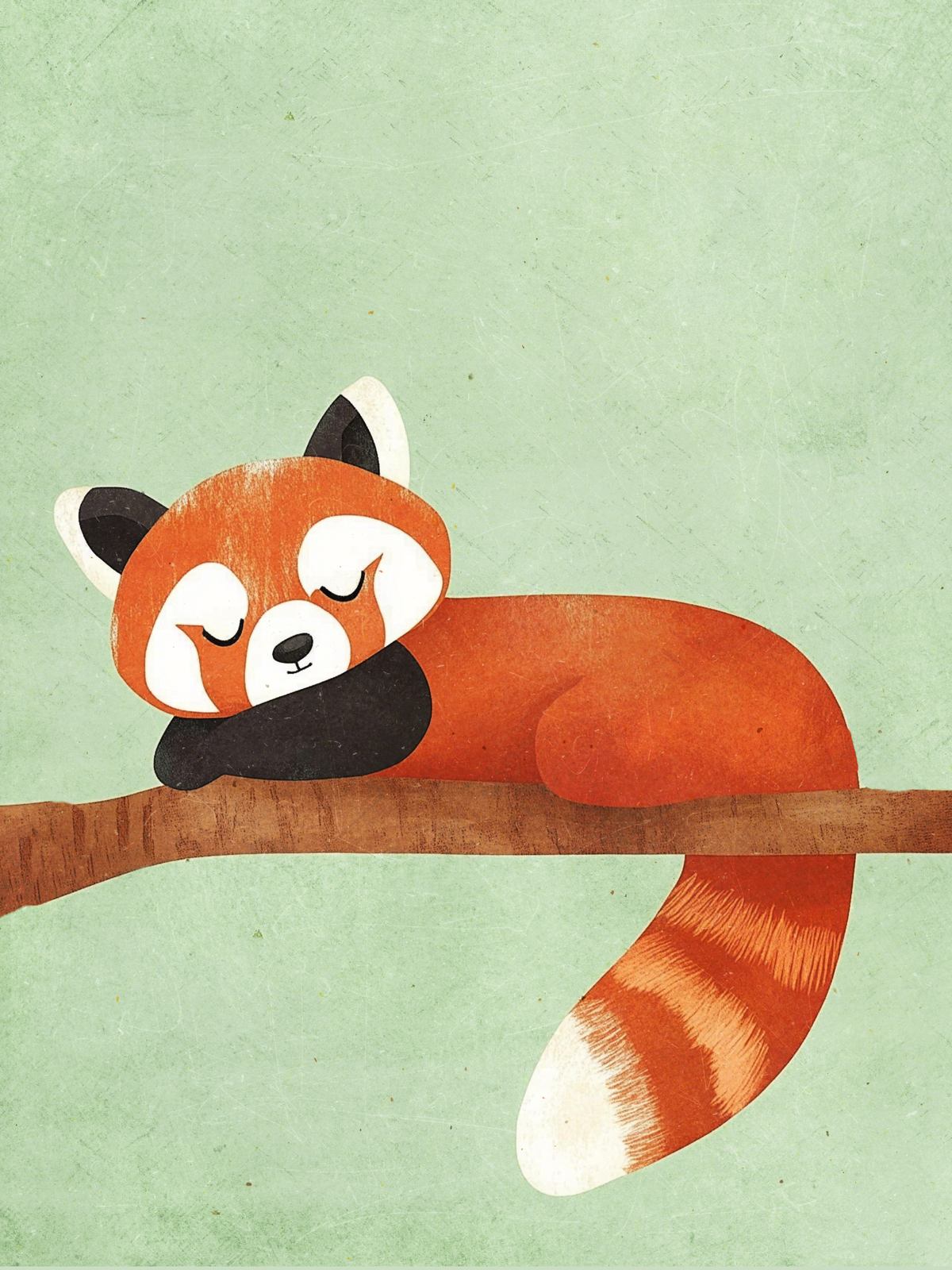 Poster - Slapende Rode Panda