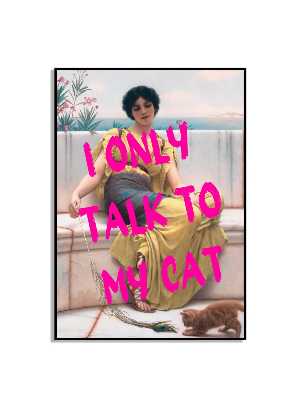 Ik Praat Alleen Met Mijn Kat Poster