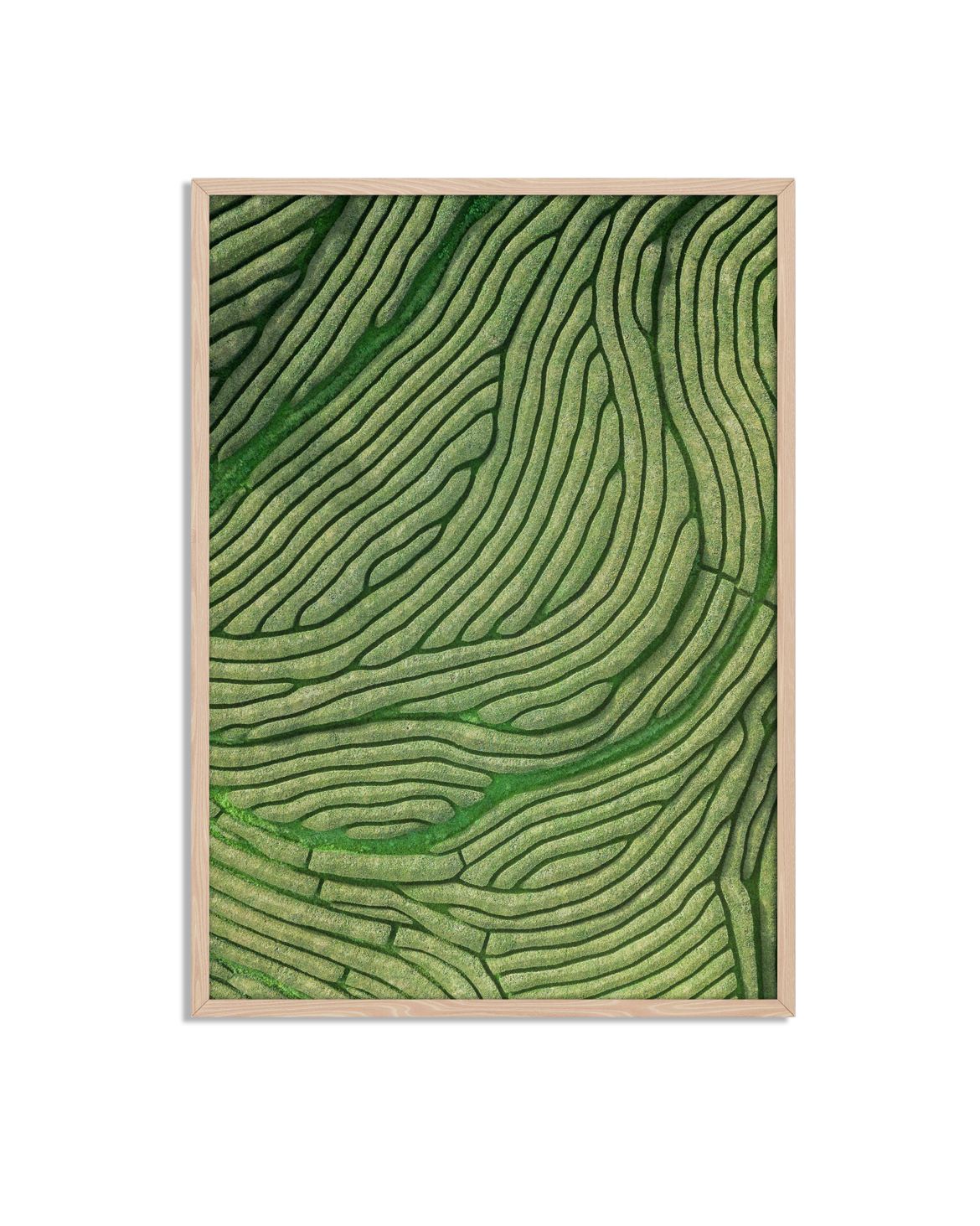 Groene Stroom Natuur Poster