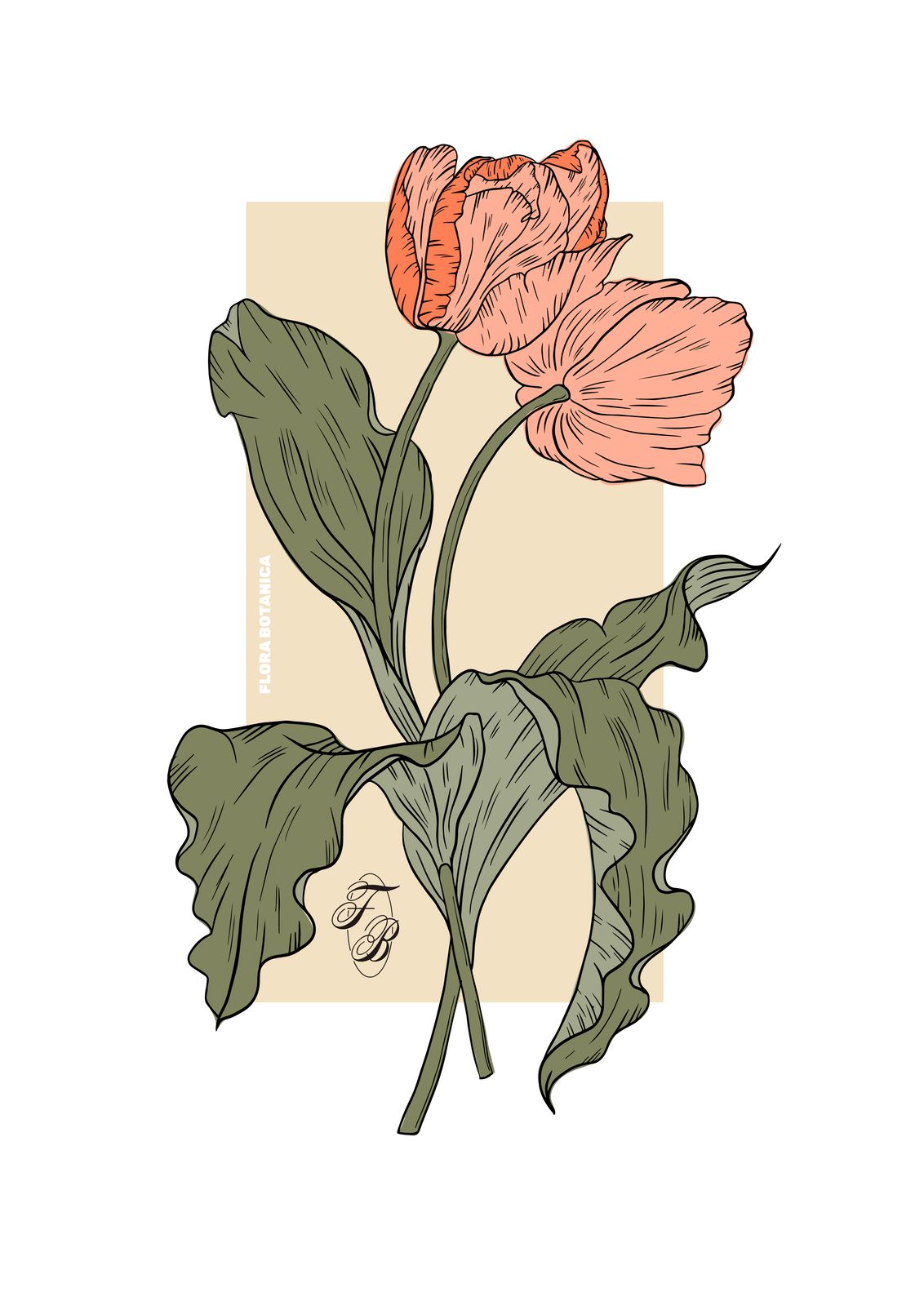 Poster - Flora Botanica Tulp