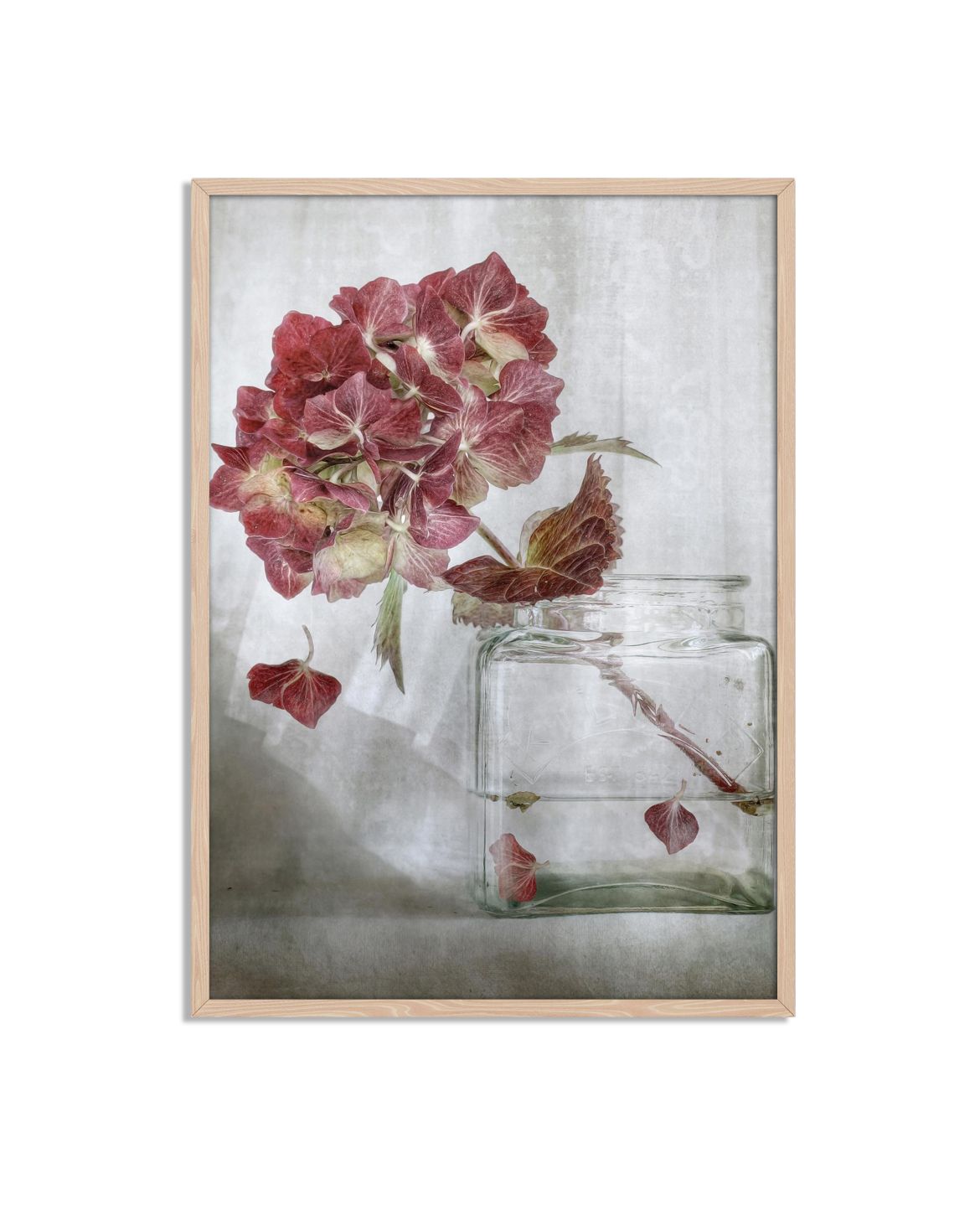 Hortensia in Vaas Poster