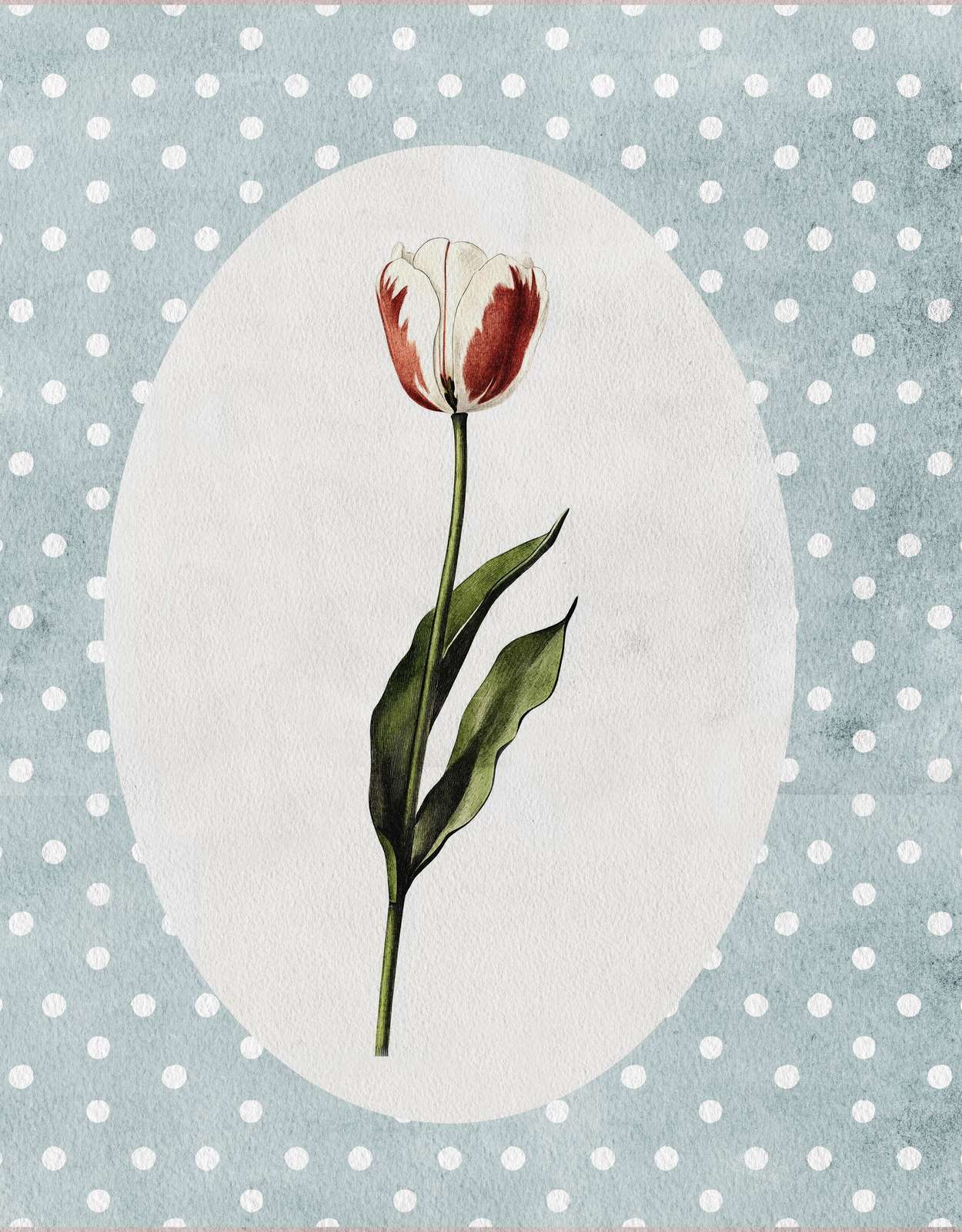 Poster - Tulp op gestippelde achtergrond
