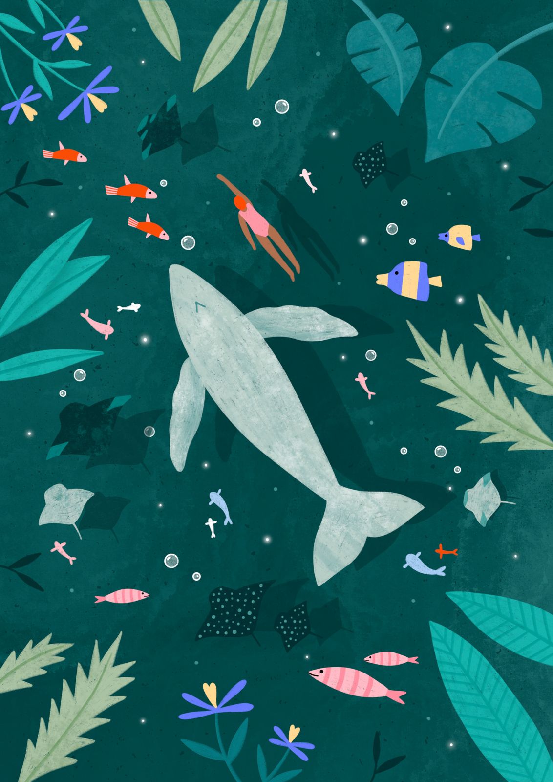 Poster - Onderwater Walvis