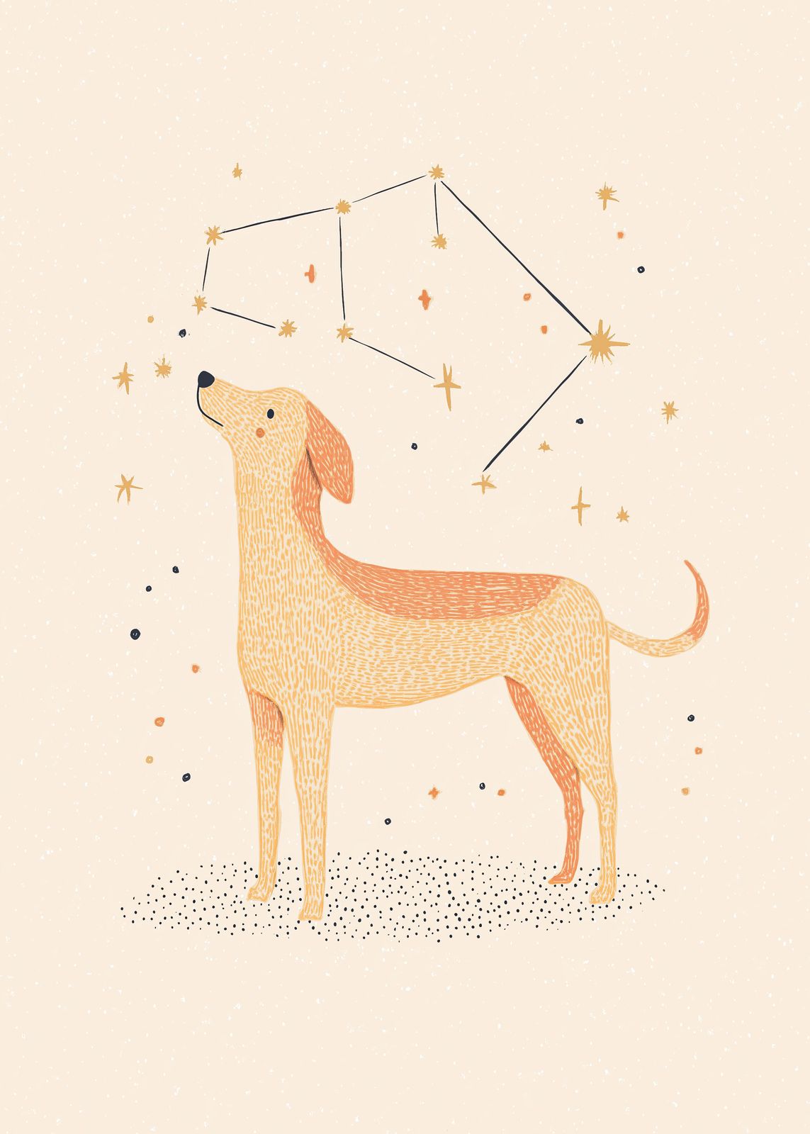 Poster - Sterrenbeeld Hond