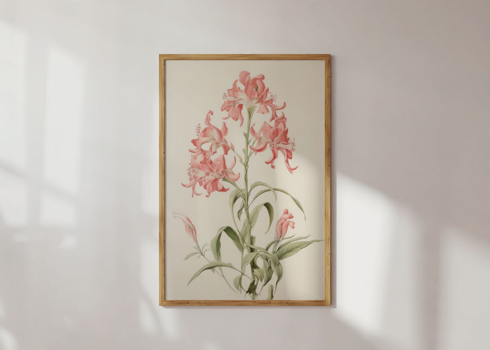 Poster - Roze lelie illustratie