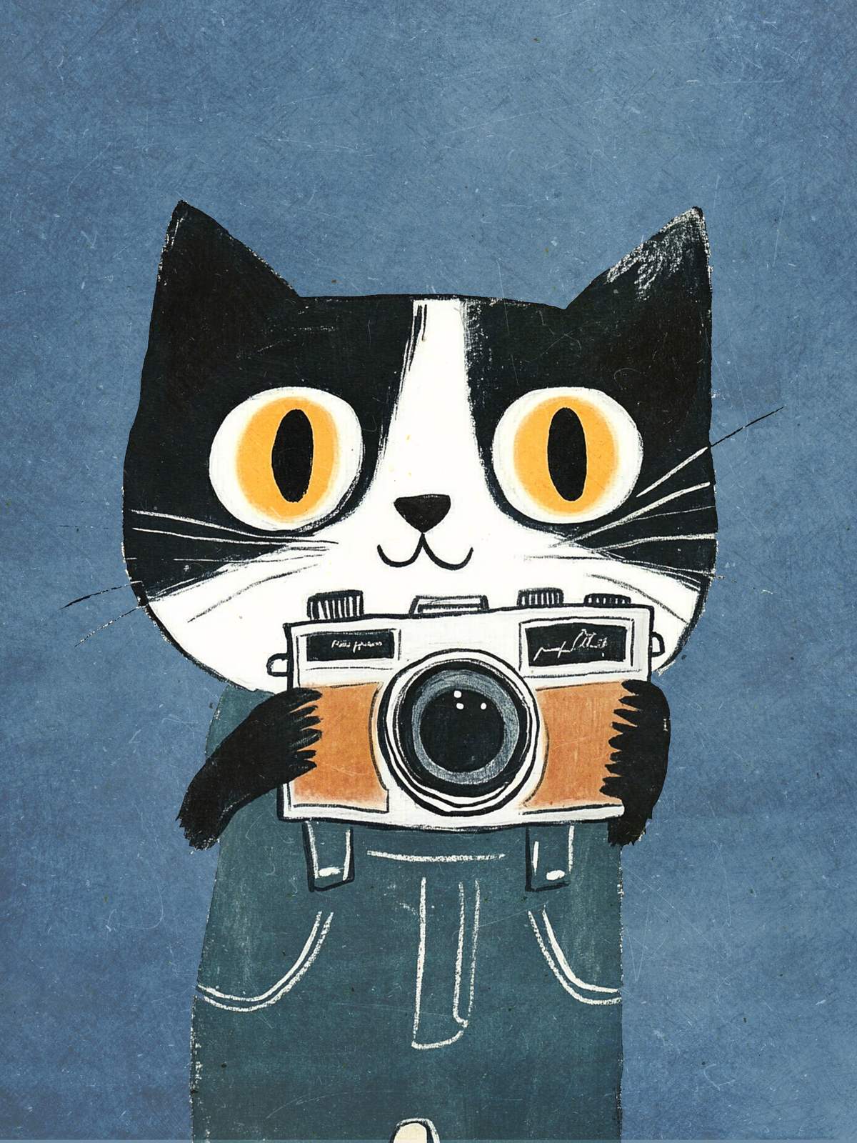 Poster - Kat met Camera