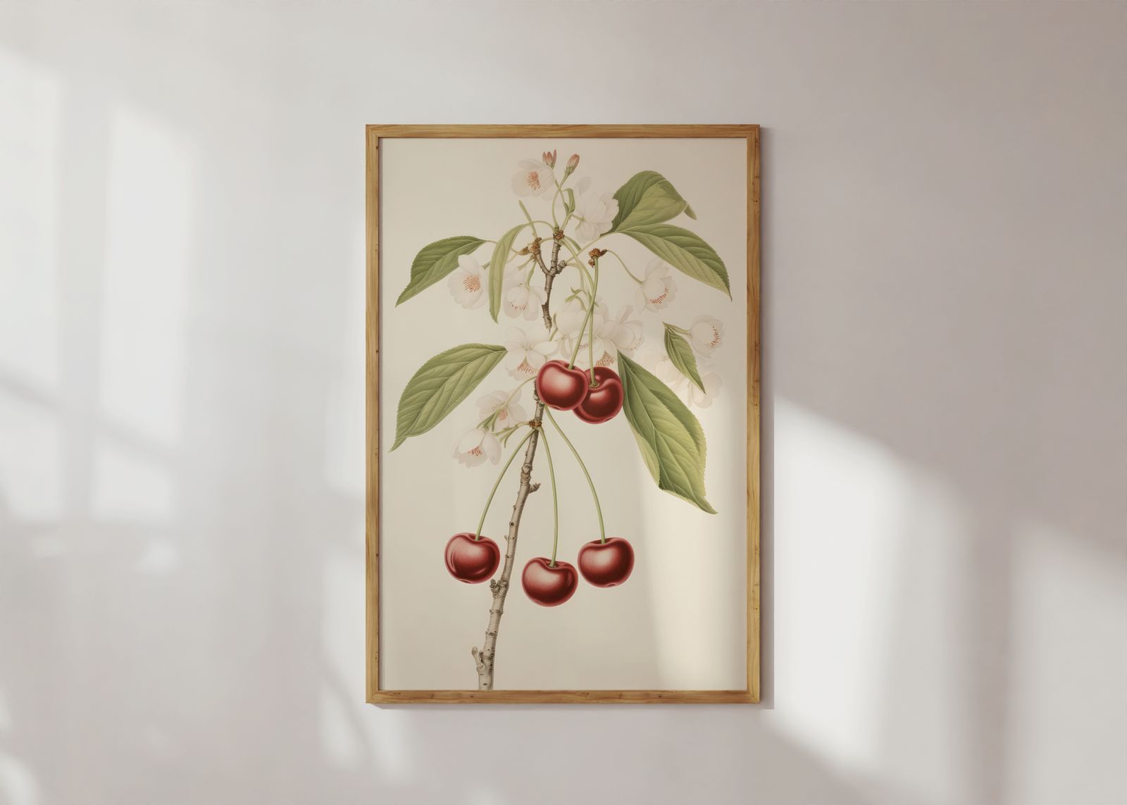 Poster - Kers Botanische Illustratie
