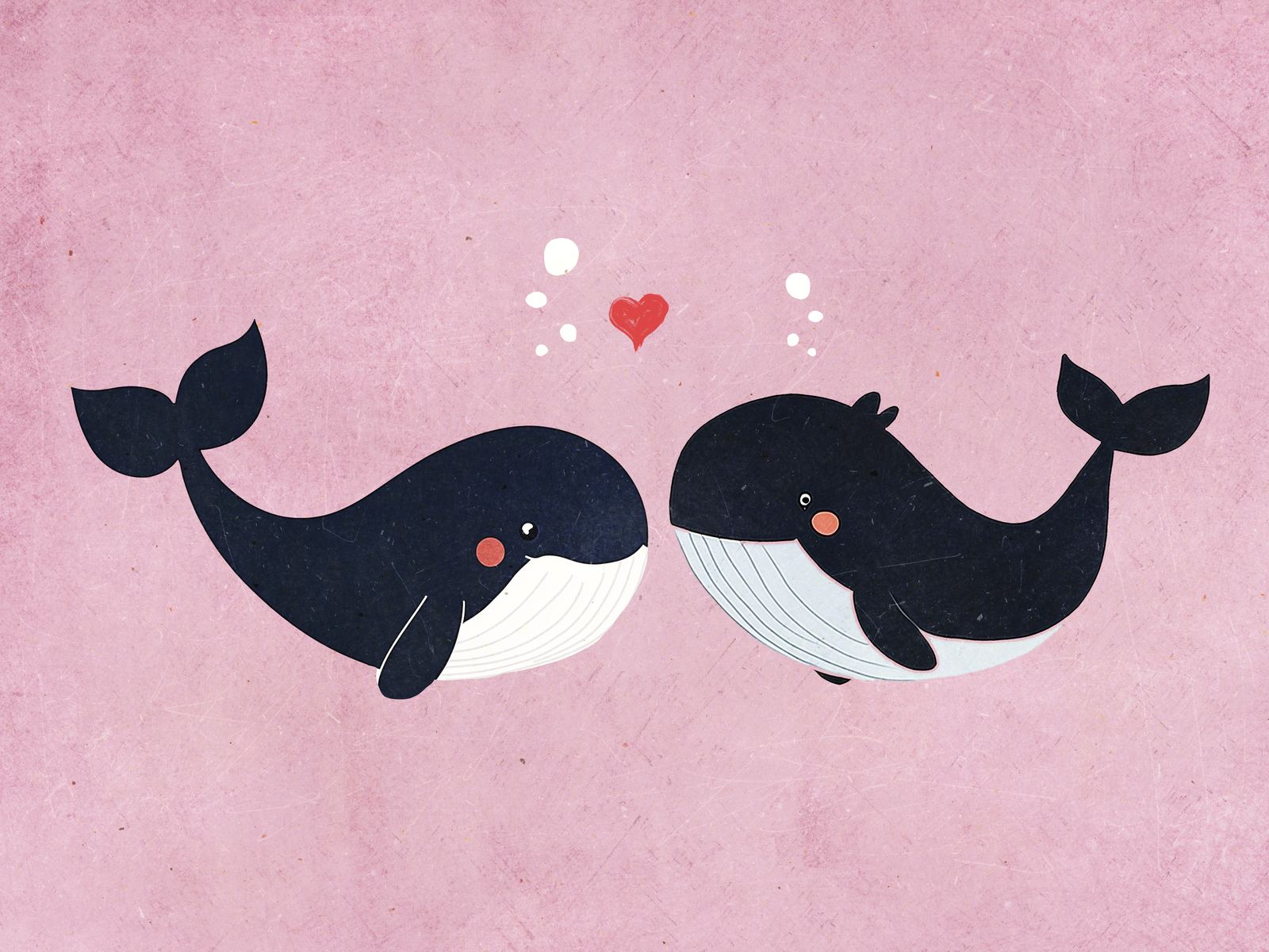 Poster - Walvis Liefde