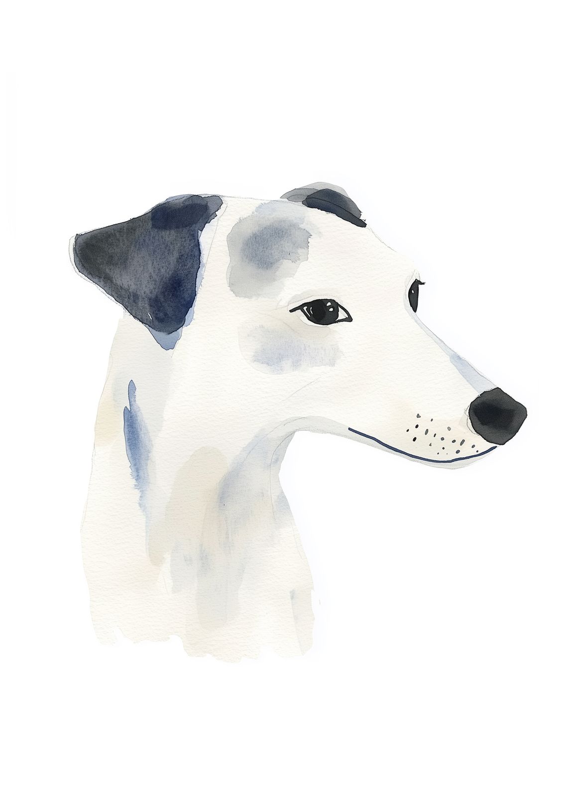 Poster - Aquarelhond