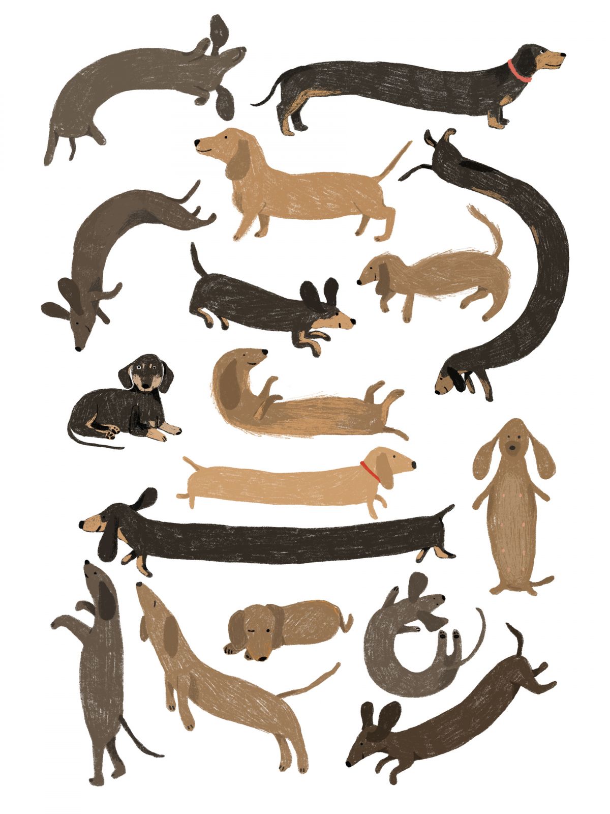 Poster - Speelse Teckels