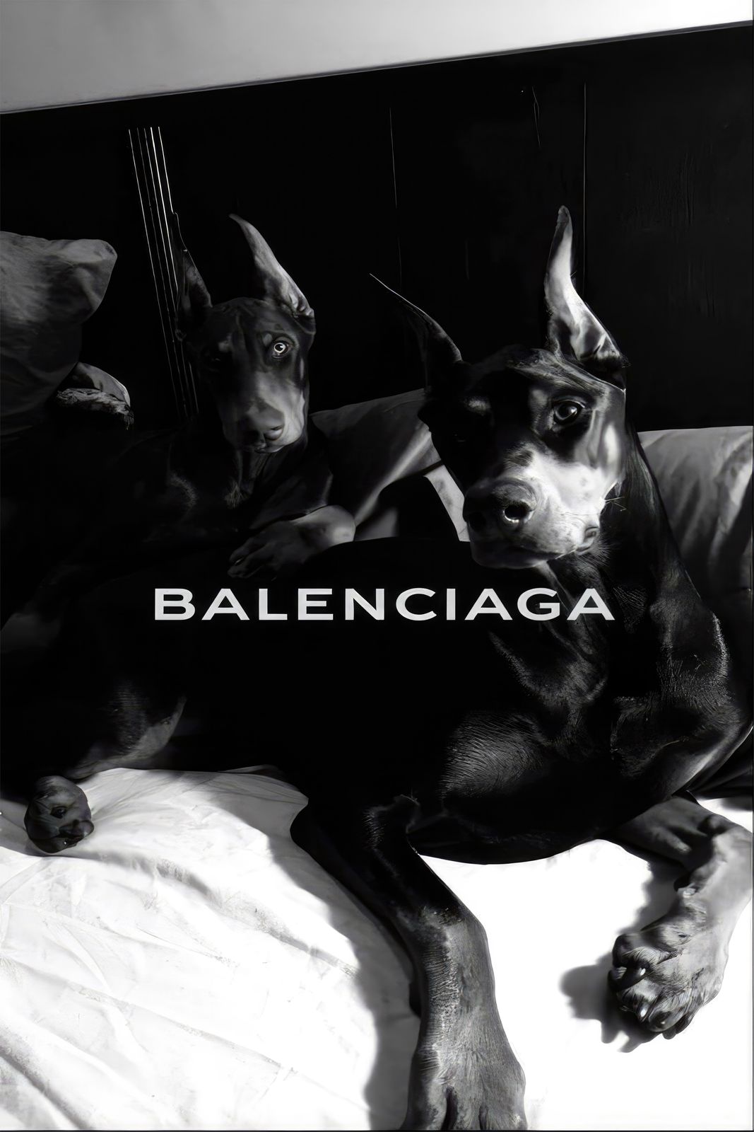 Poster - Balenciaga Dobermans